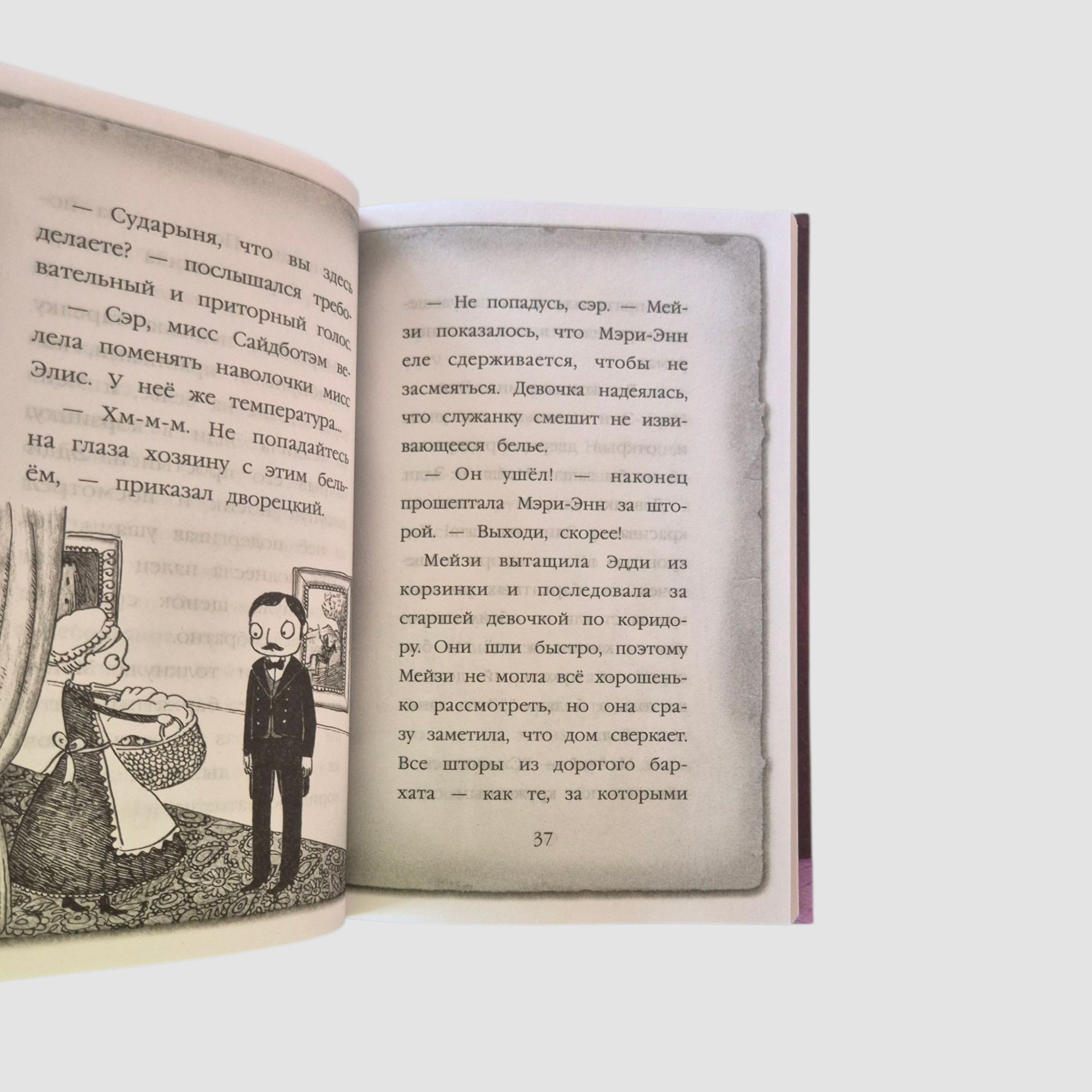 Maisie Hitchins. The Ghost Cat