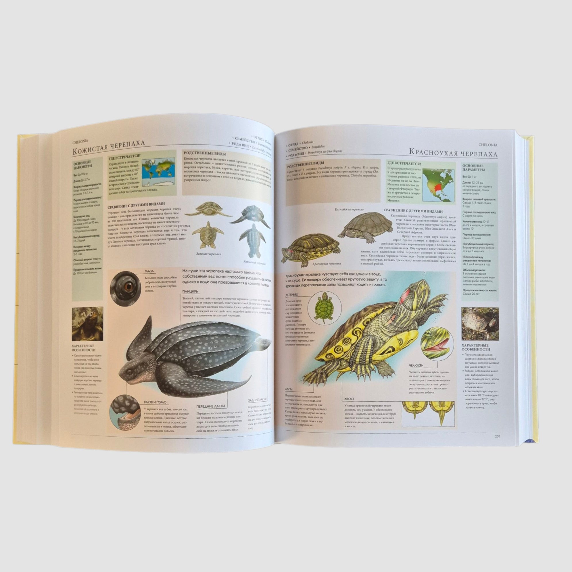 Animals of the World. My Big Encyclopedia