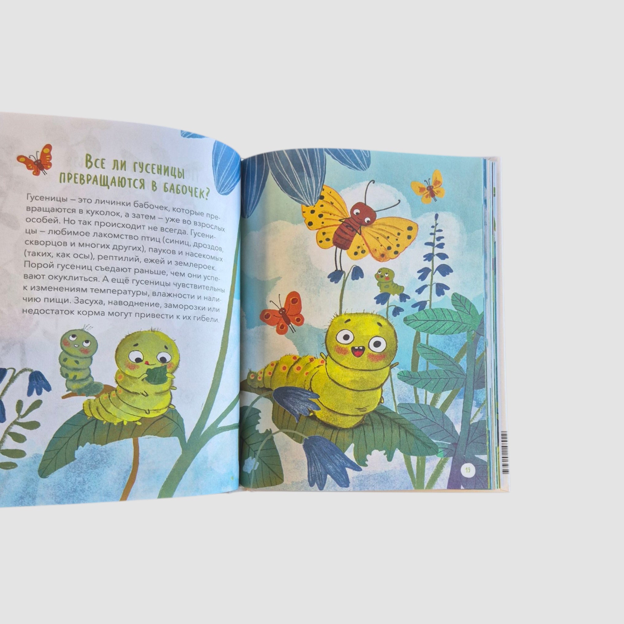 What, Where and Why? The Most Interesting Children's Questions About the World Around Us