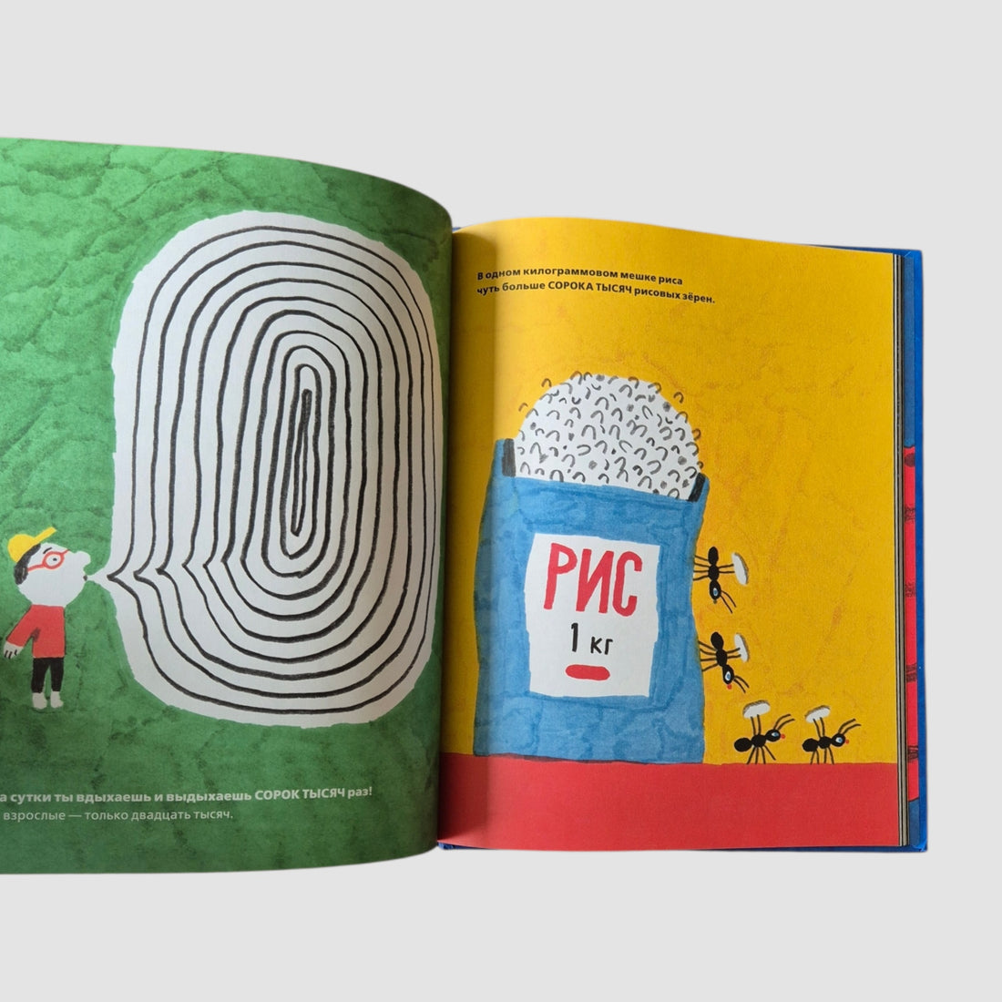 У осьминога ноль костей