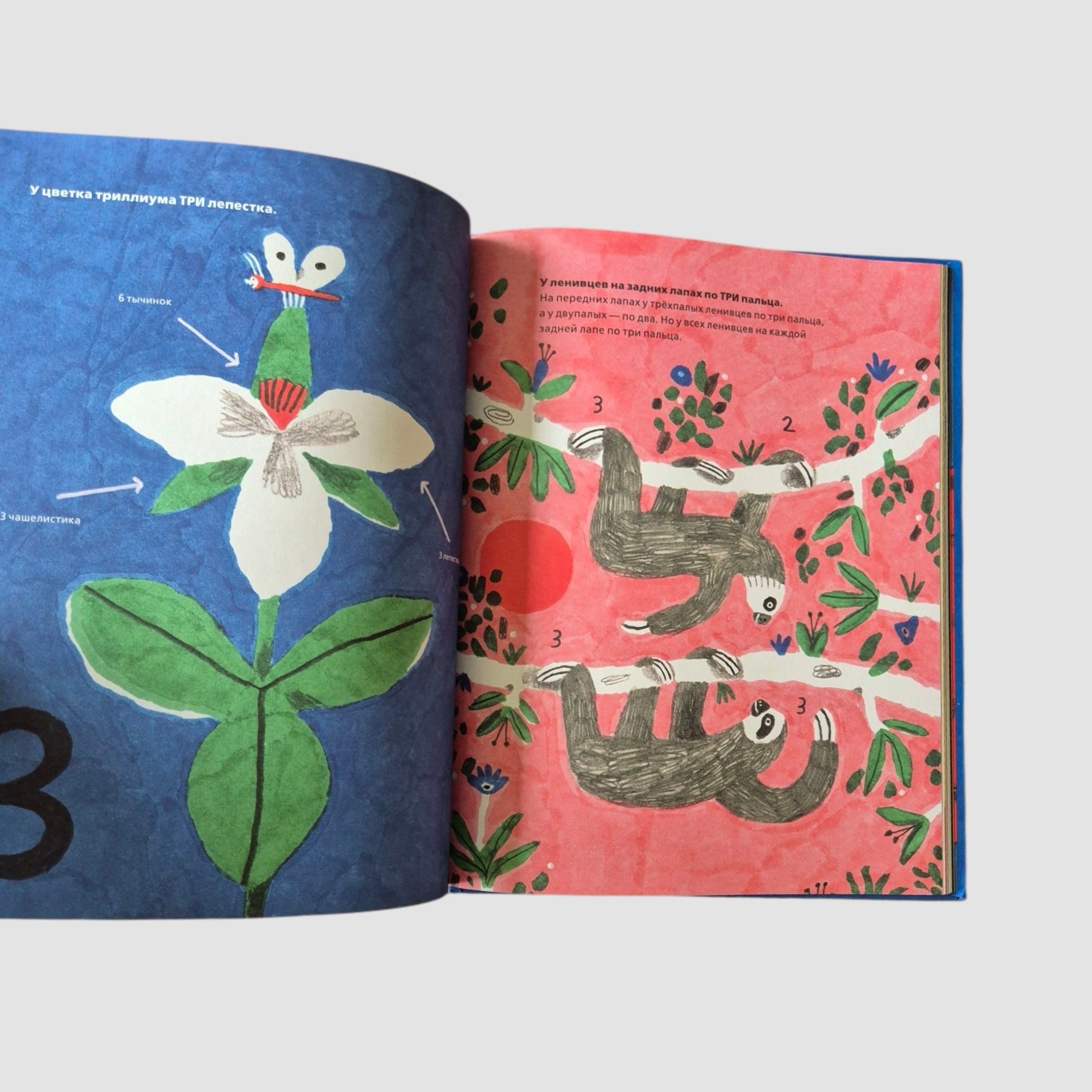 У осьминога ноль костей