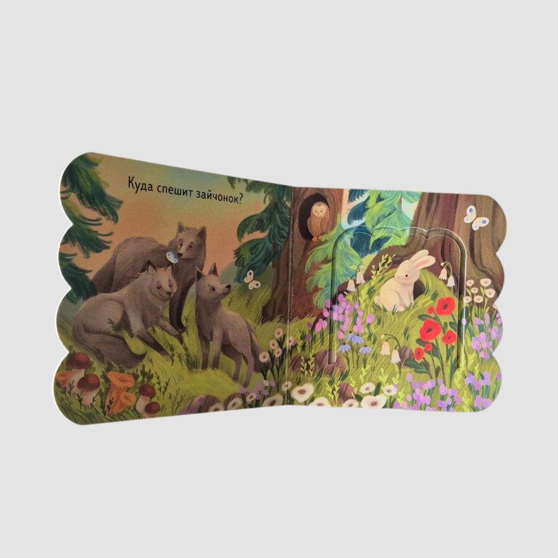 Книжка с окошками. Лес