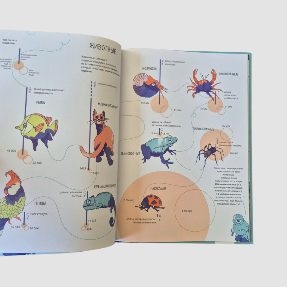 Планета Земля. Мир вокруг нас в инфографике