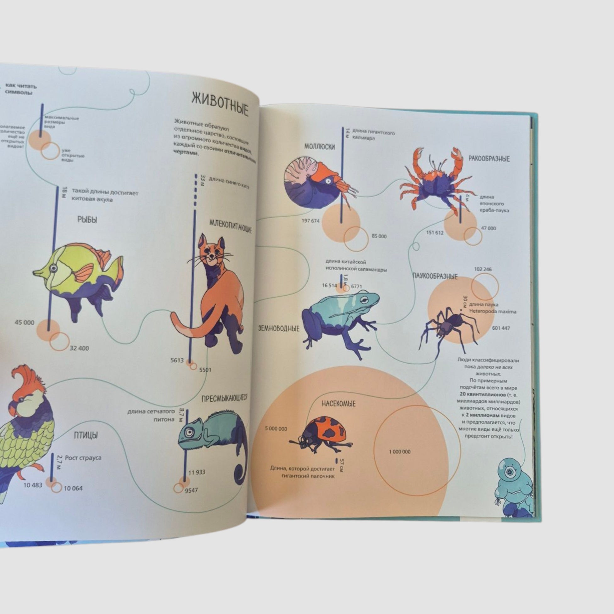 Планета Земля. Мир вокруг нас в инфографике