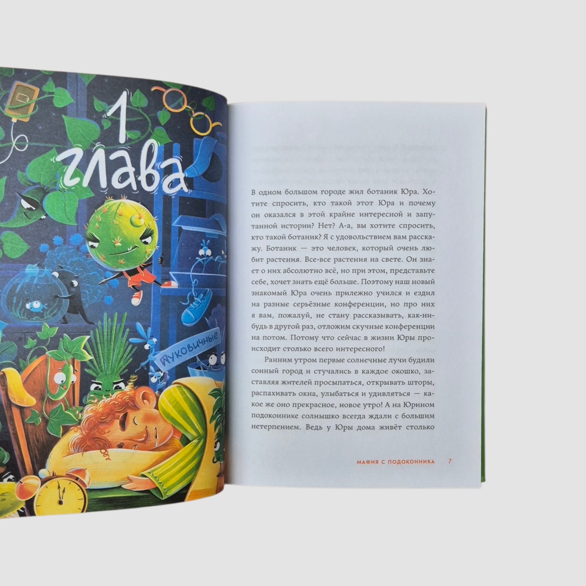 Мафия с подоконника