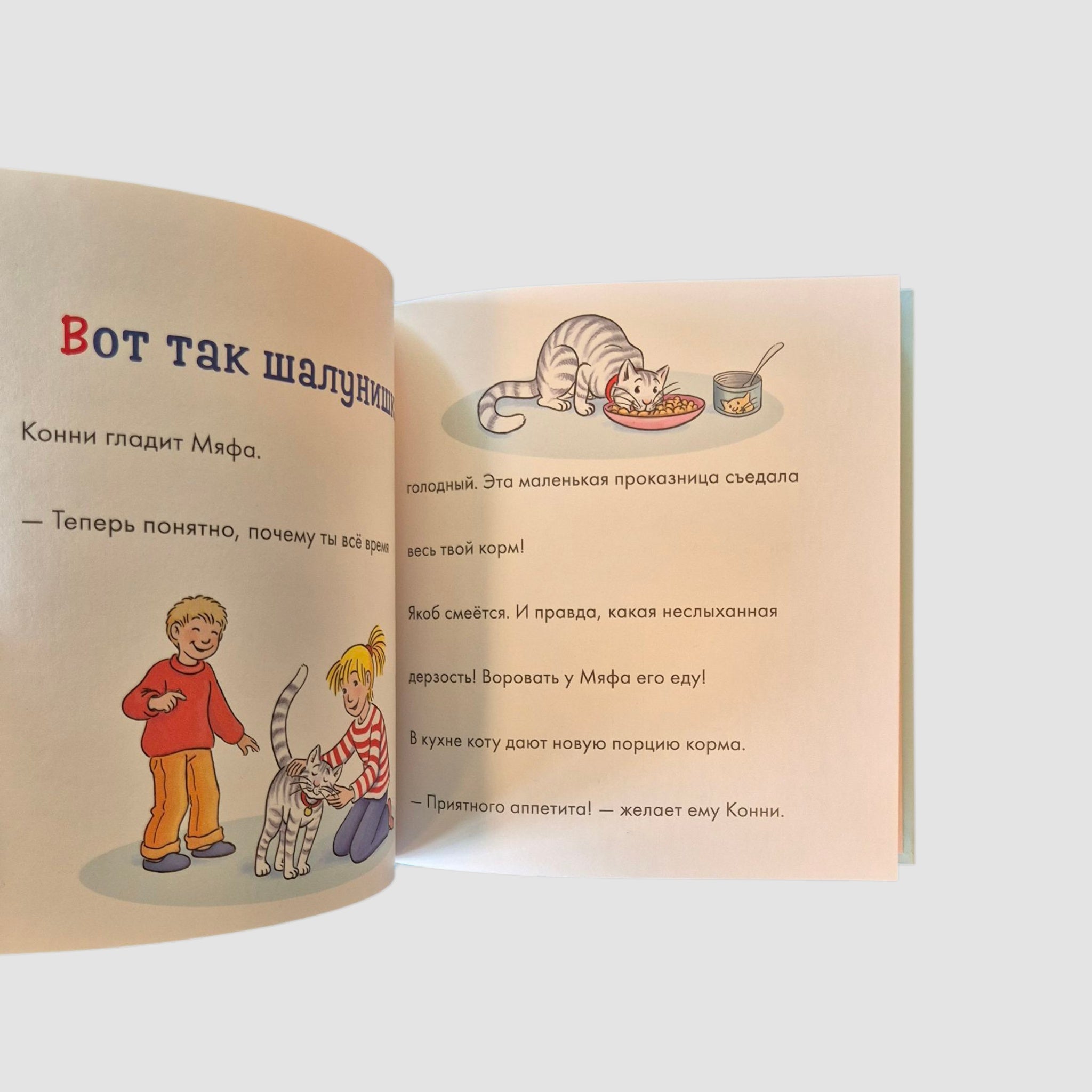 Учусь читать с Конни: Загадочный воришка