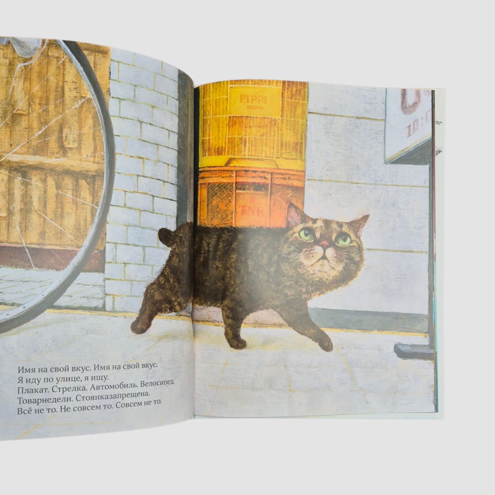 Кот без имени