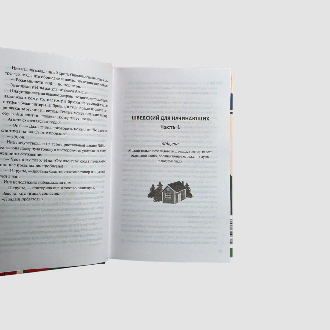 Чисто шведские убийства. Деревушка с секретами