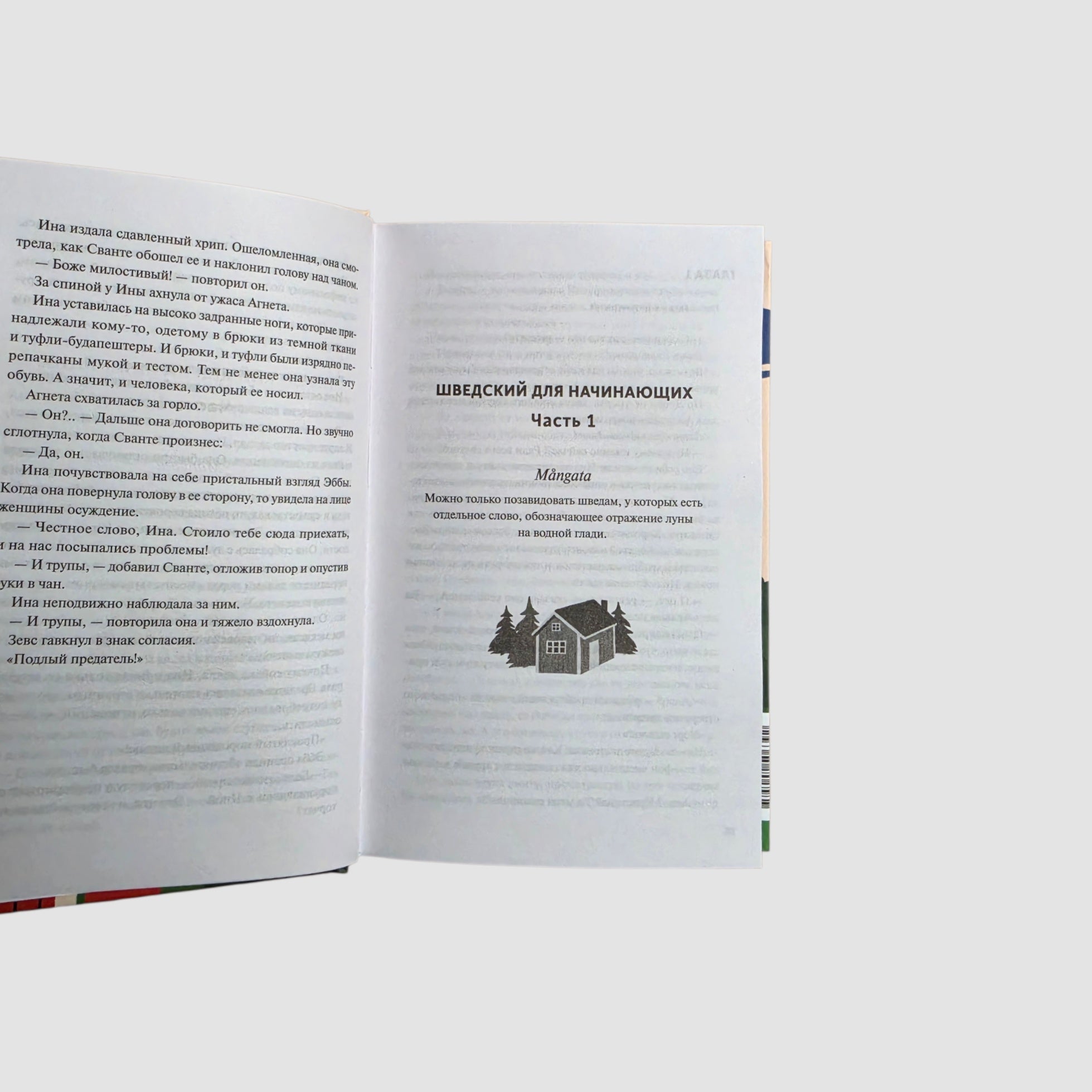 Чисто шведские убийства. Деревушка с секретами