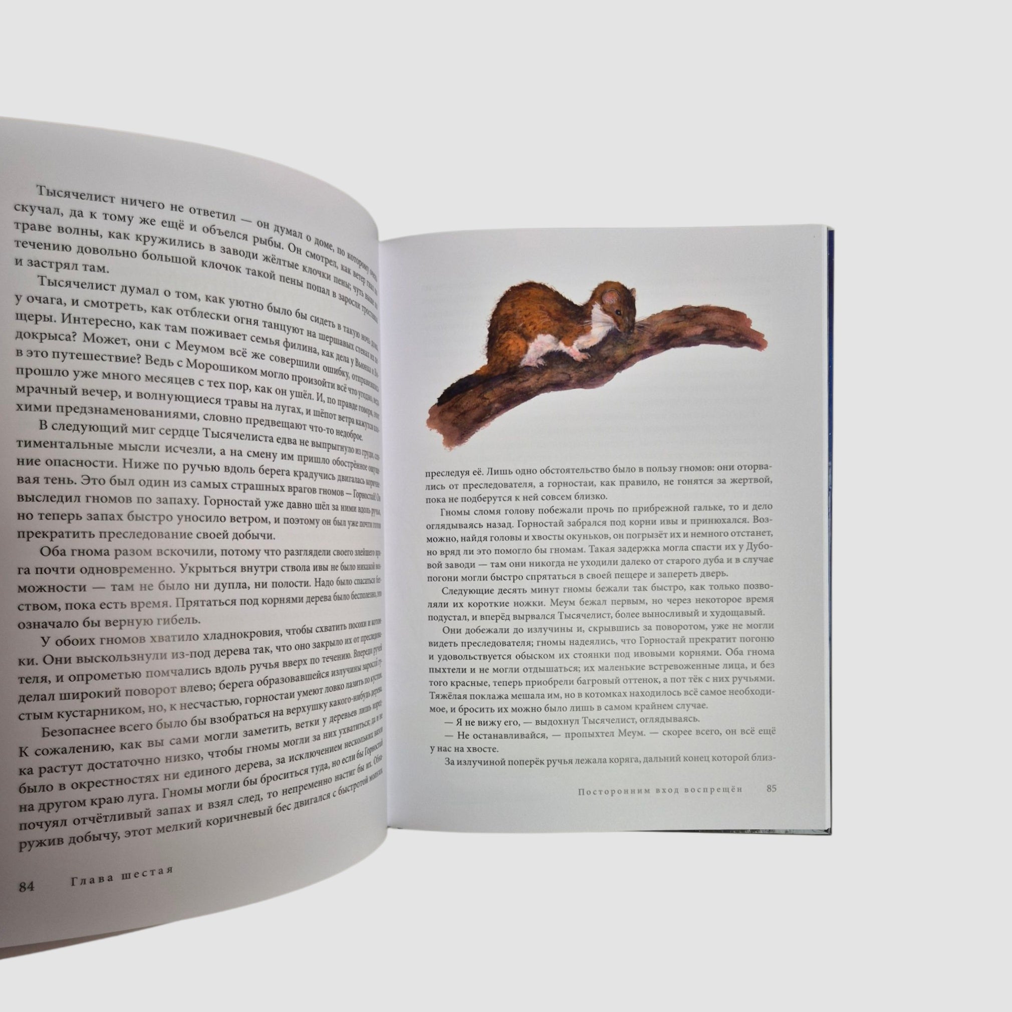 Вверх по Причуди и обратно. Удивительные приключения трех гномов