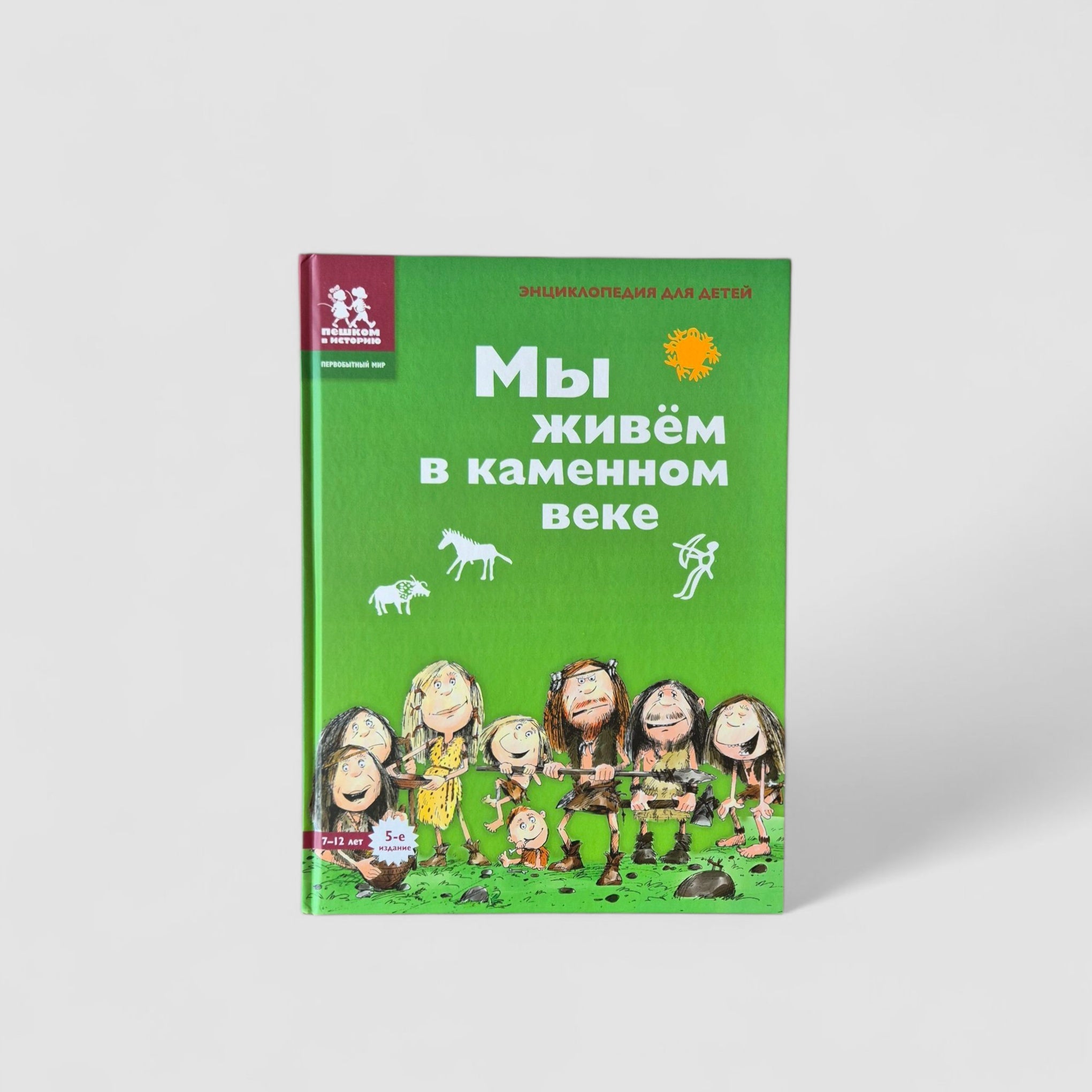 Мы живём в каменном веке