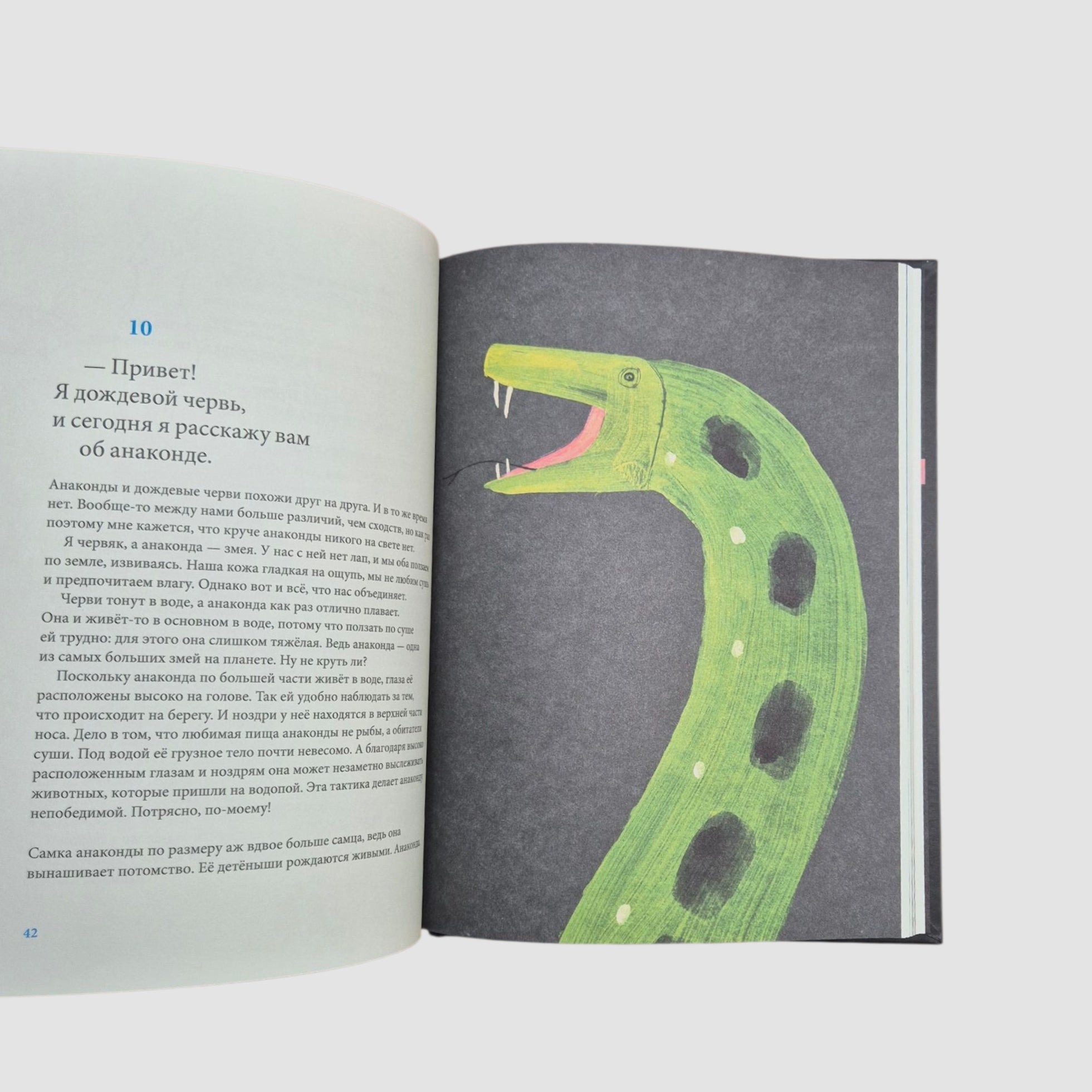 Сегодня я расскажу вам об анаконде