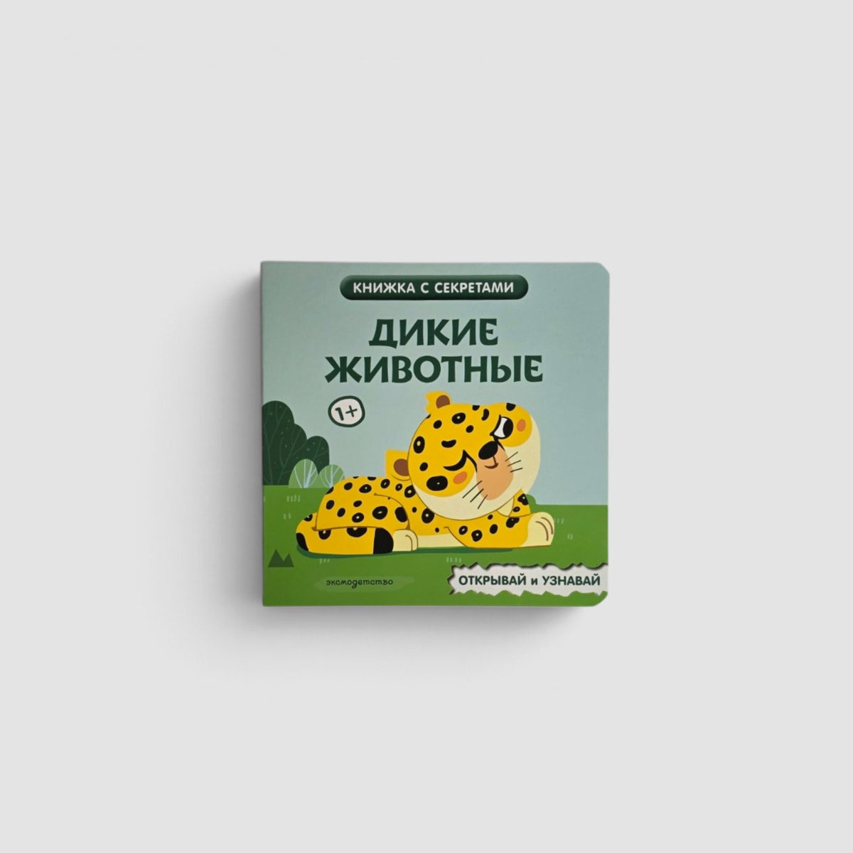 Дикие животные