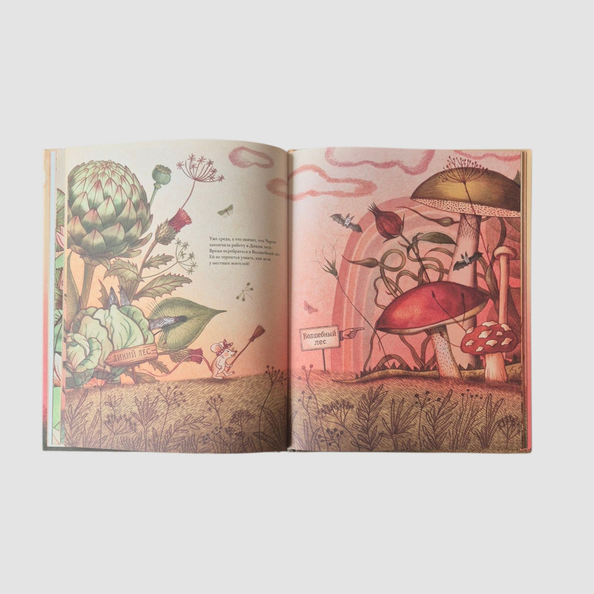 Charlie Mouse Cleans Up