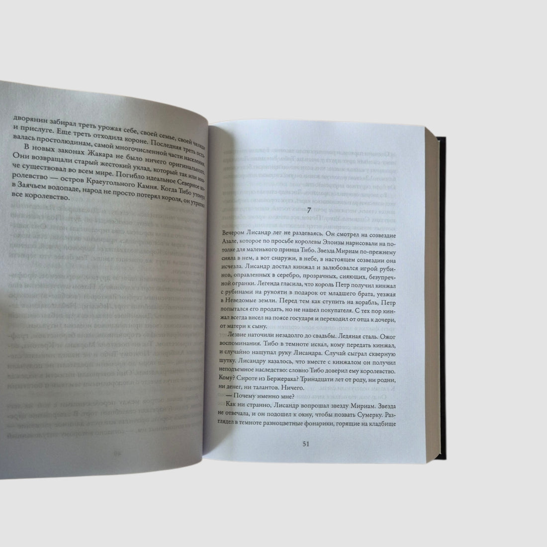 Королевство Краеугольного Камня. Отвага. Книга 4