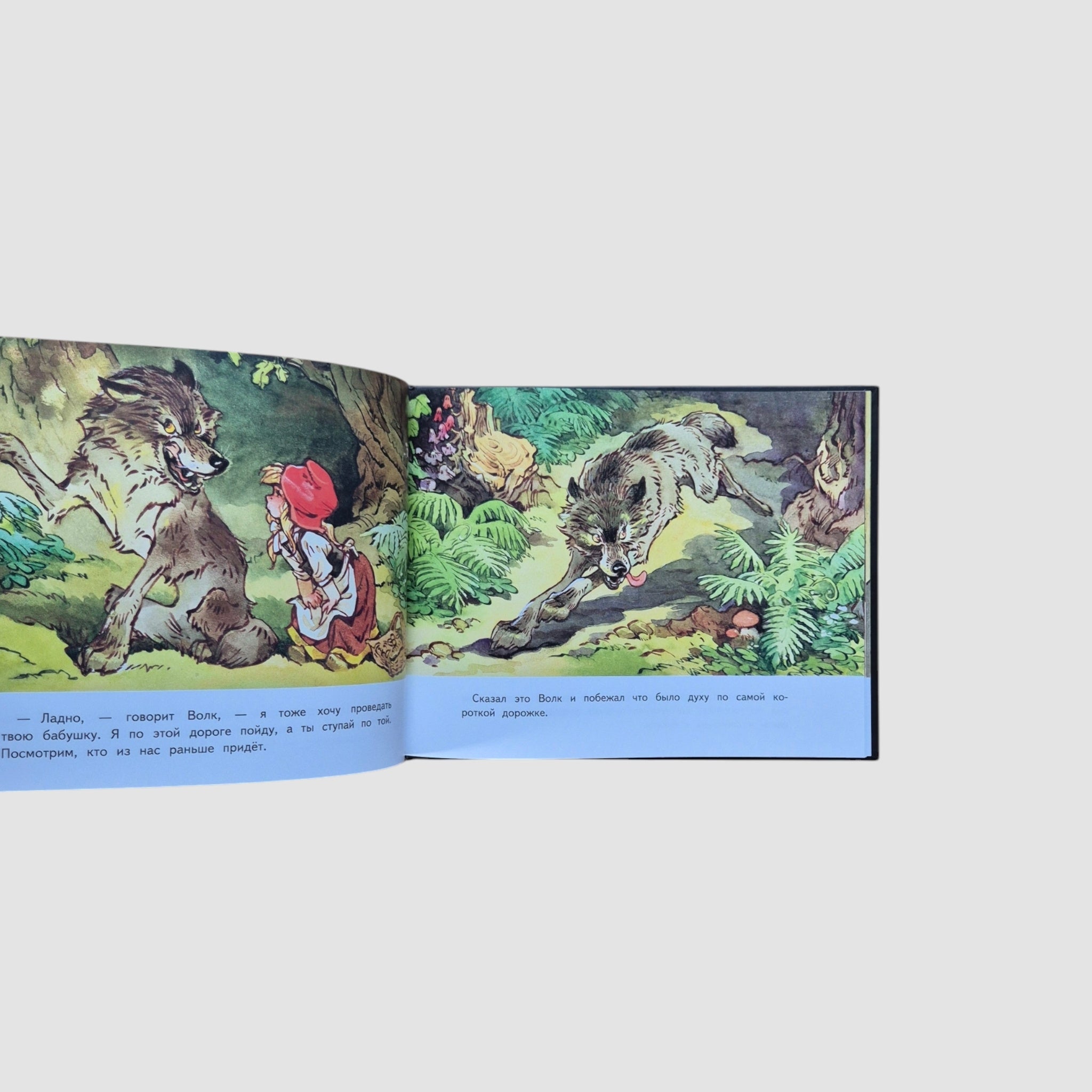 Красная шапочка