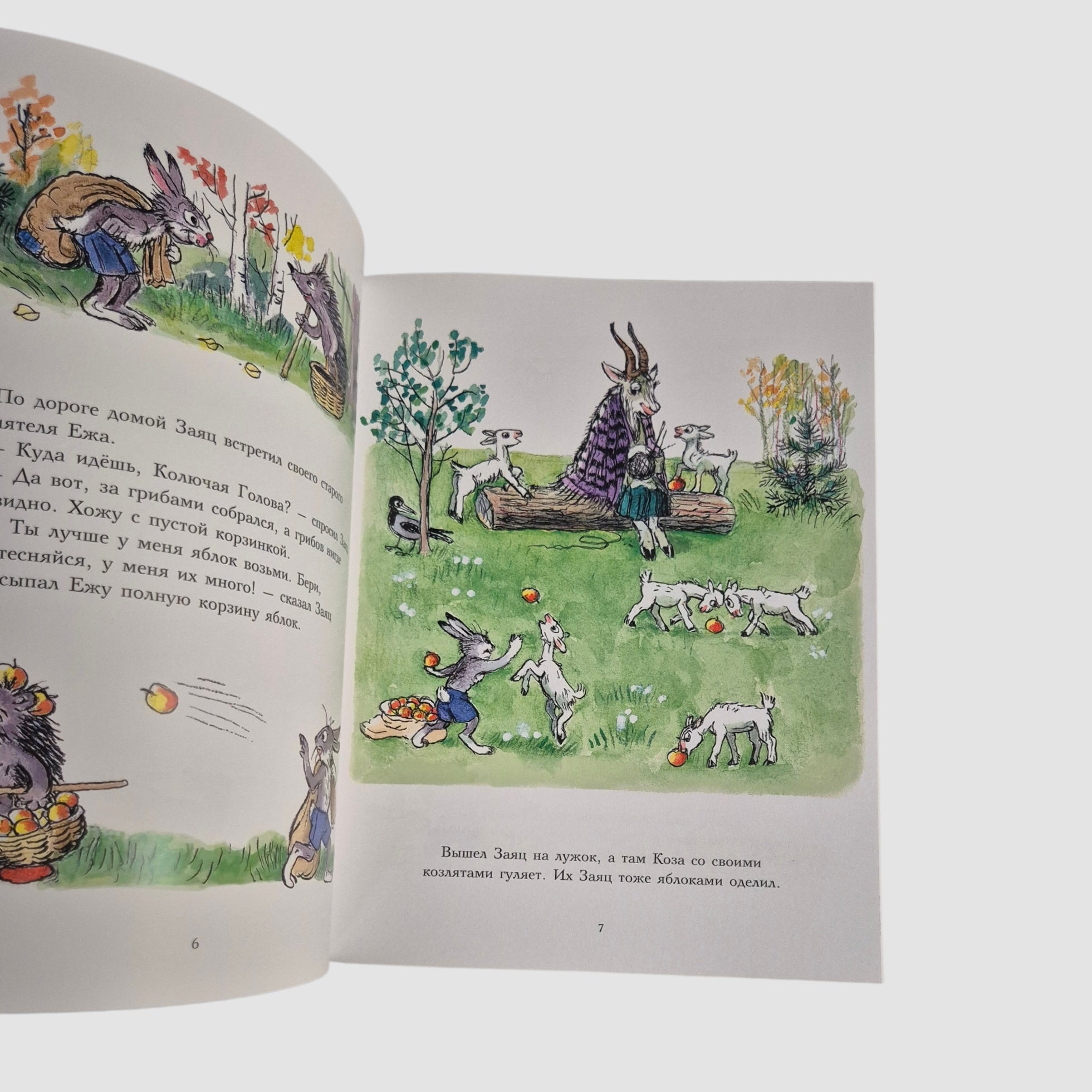 Мешок яблок