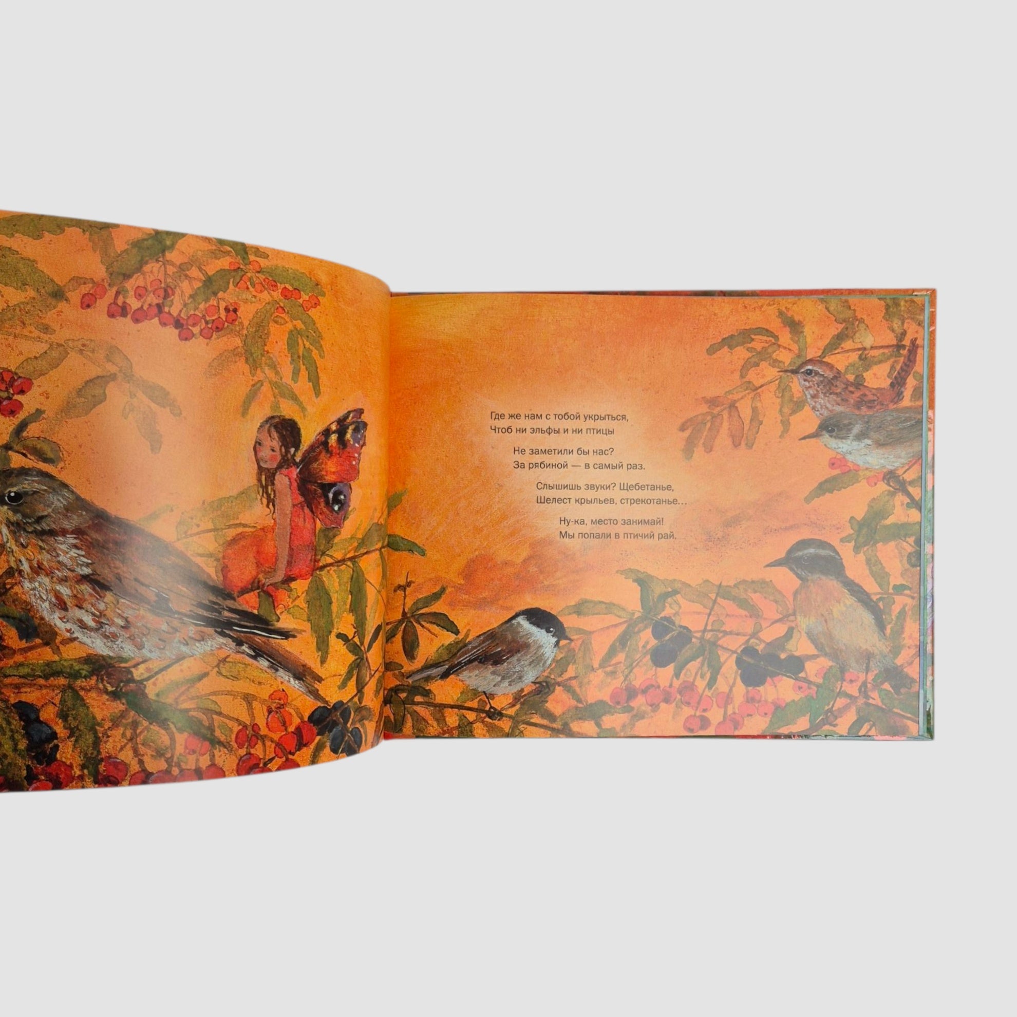 Летим в страну эльфов