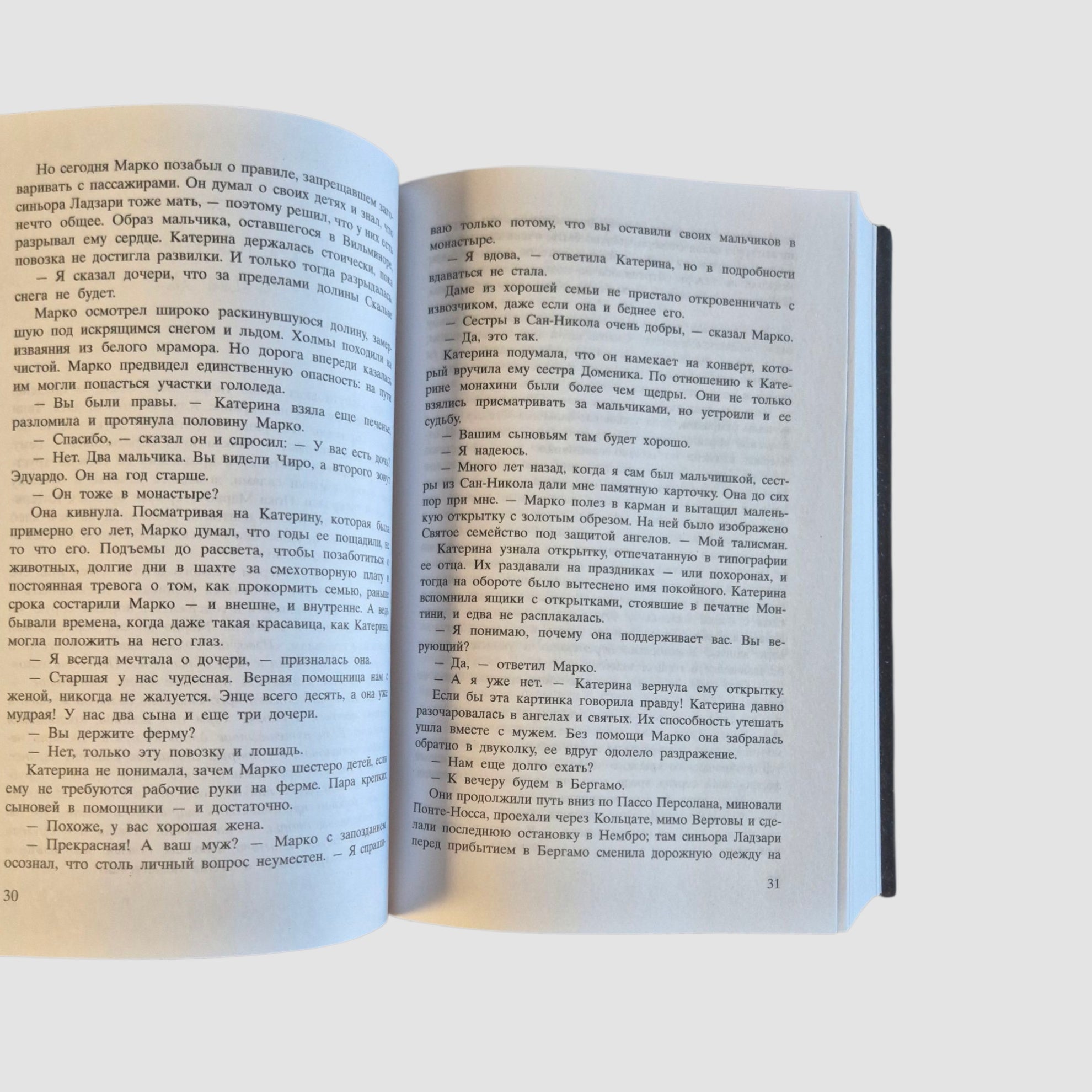 The Shoemaker's Wife