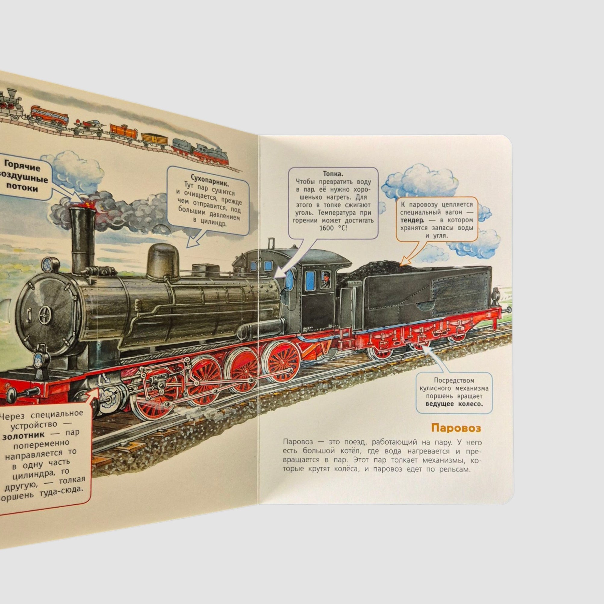 Station and trains (with windows)