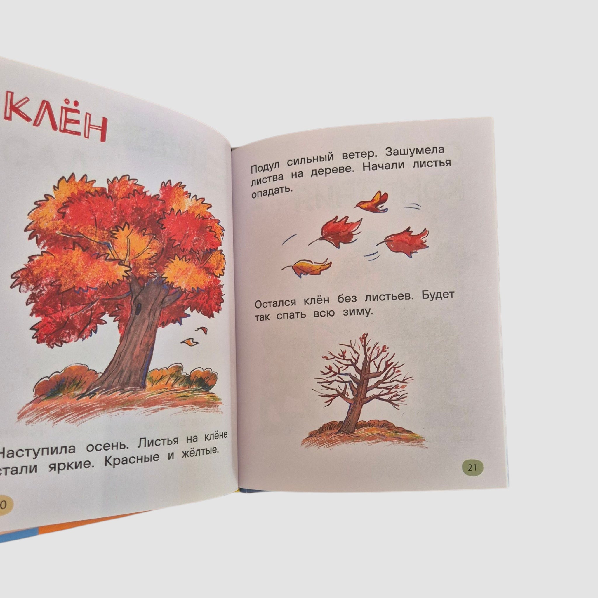 Я читаю сам. Короткие тексты