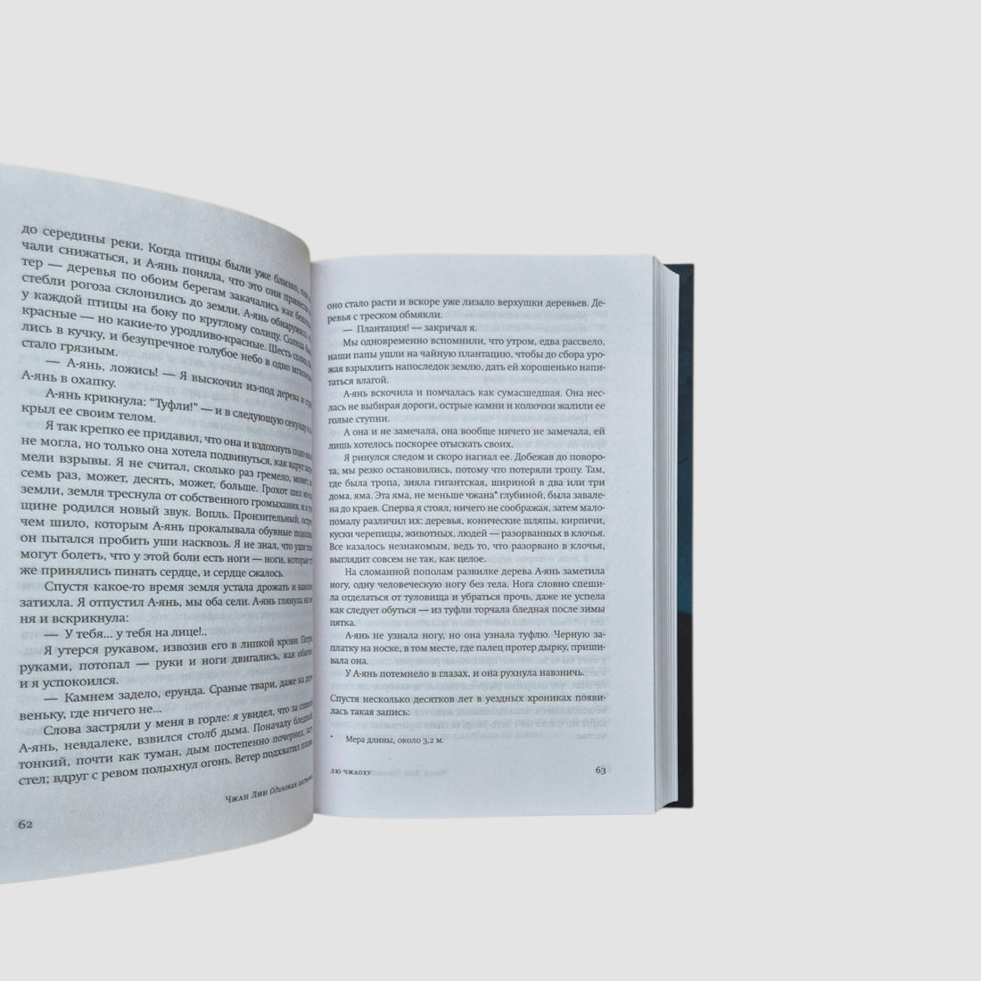 Одинокая Ласточка