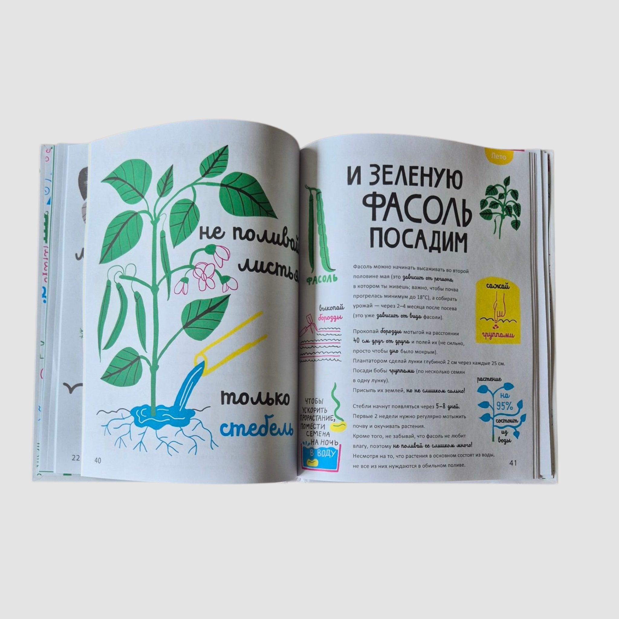 Белая книга садоводства для детей