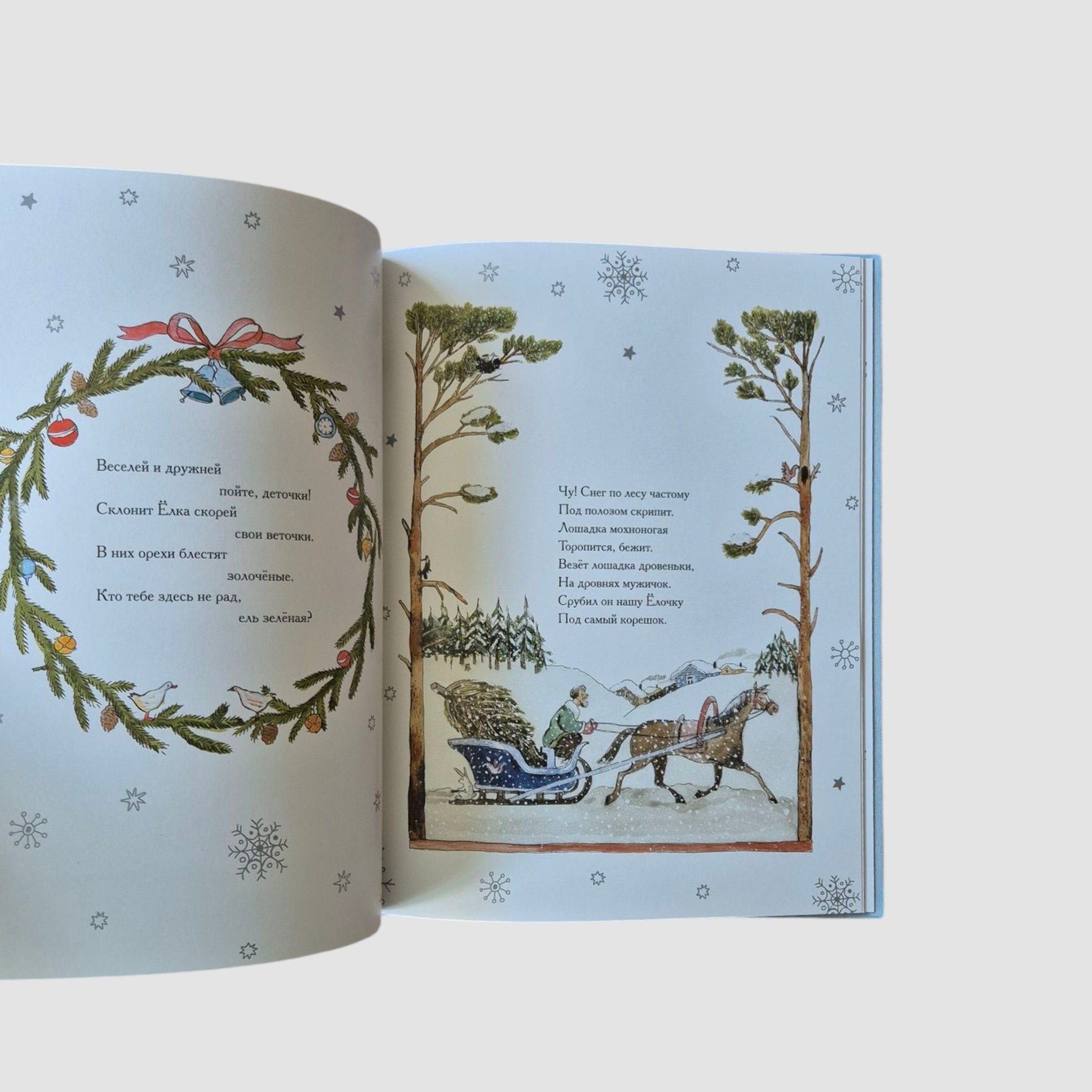 A Christmas tree was born in the forest