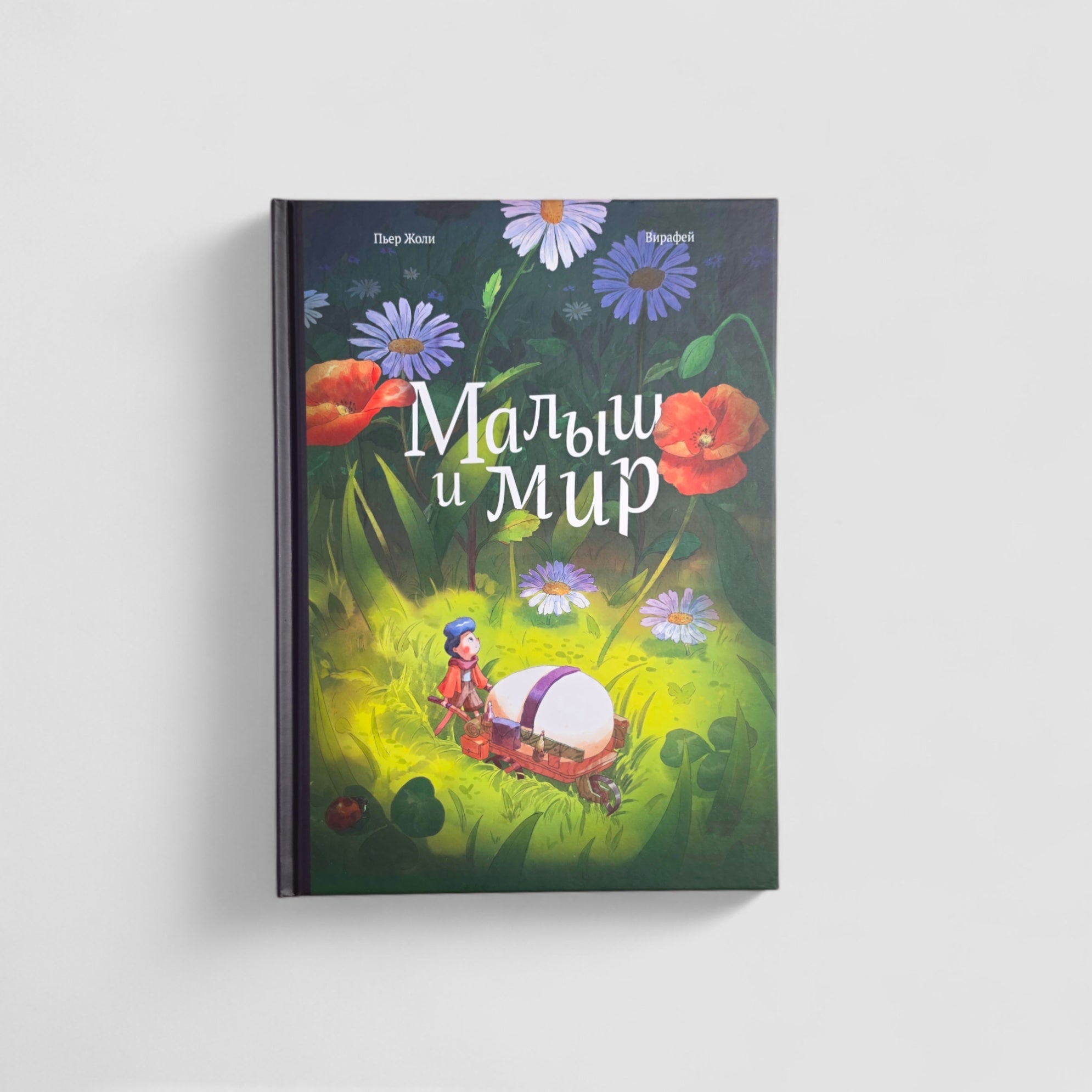 Малыш и мир