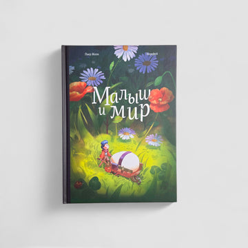 Малыш и мир