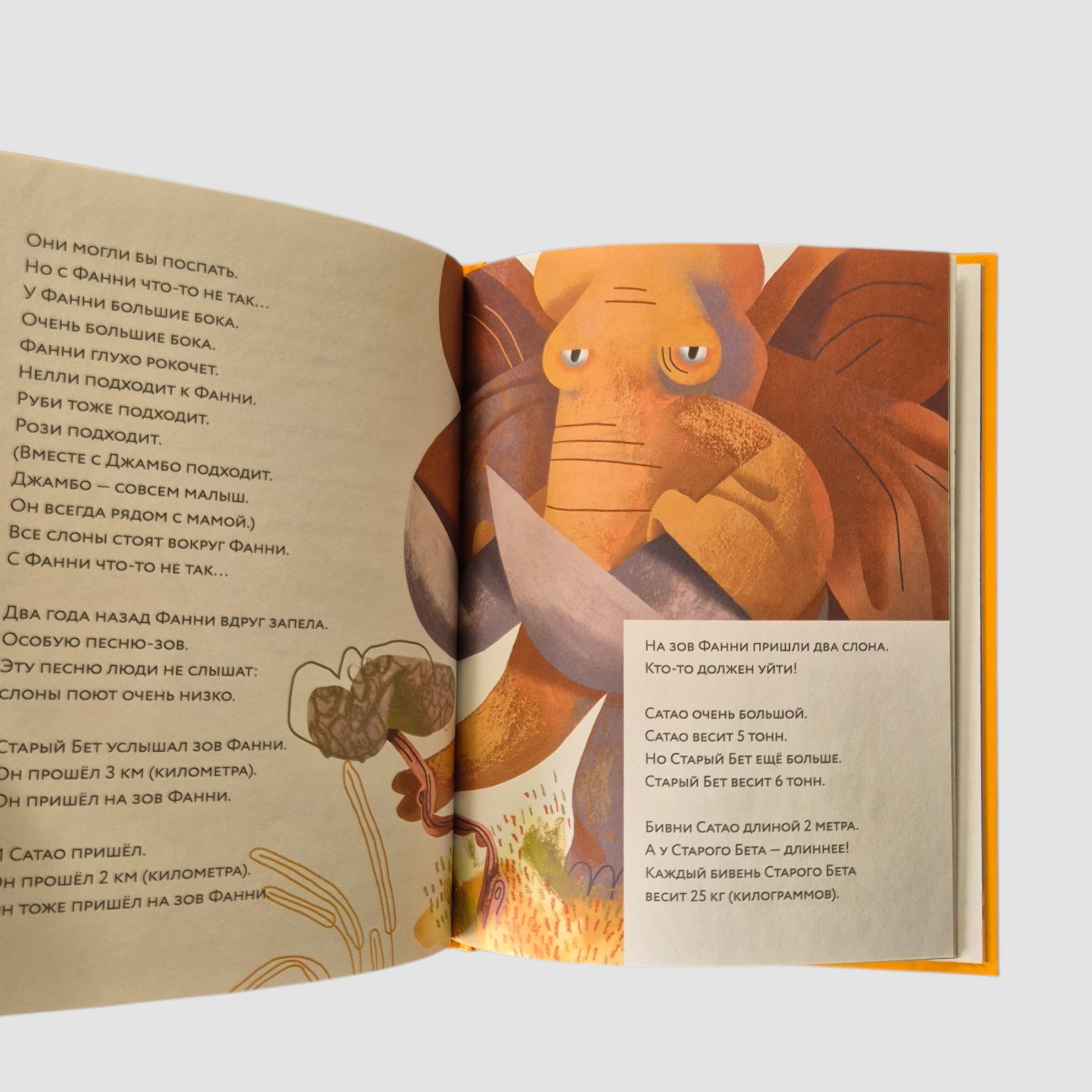 Слоны идут!