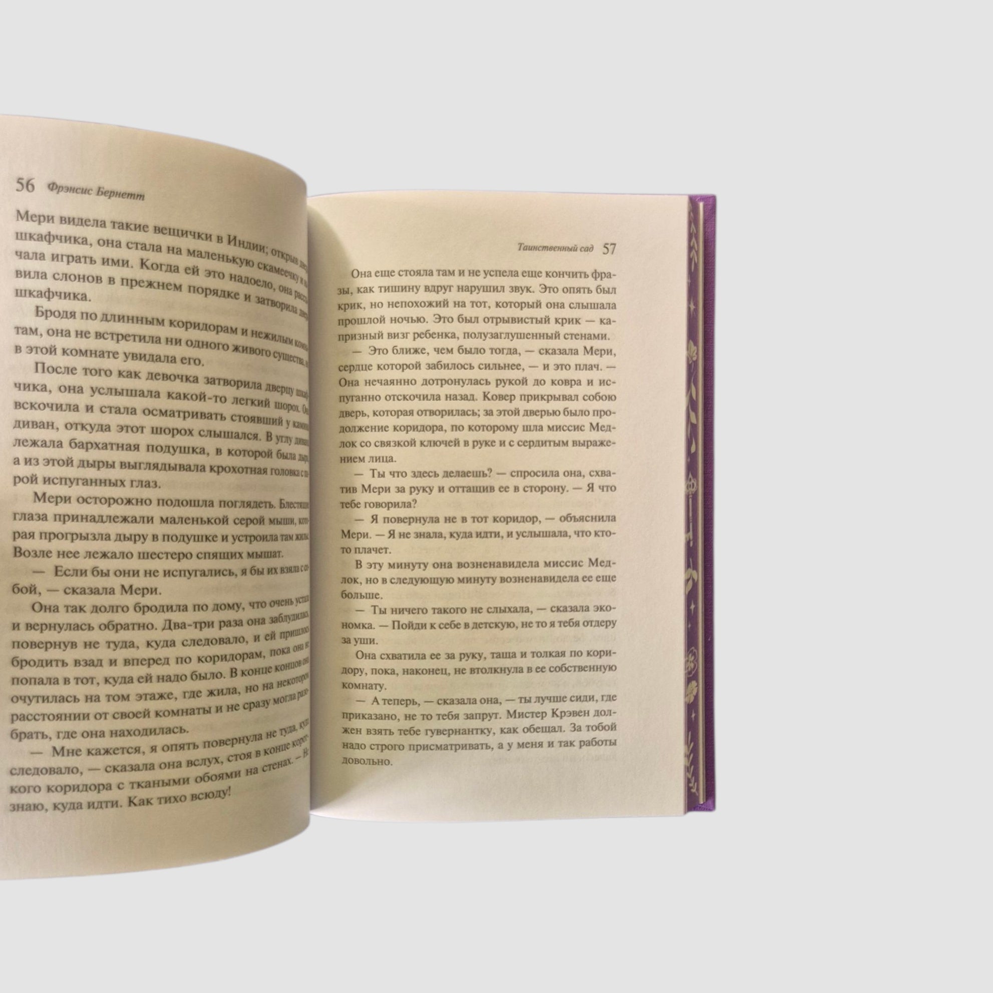 Таинственный сад