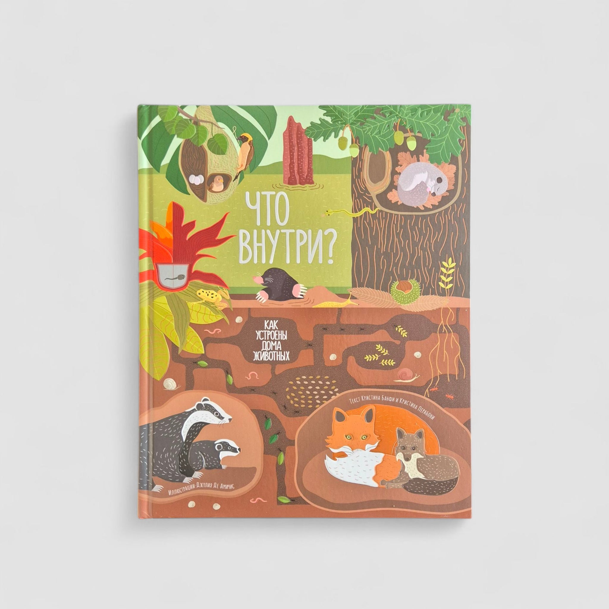 Что внутри? Как устроены дома животных