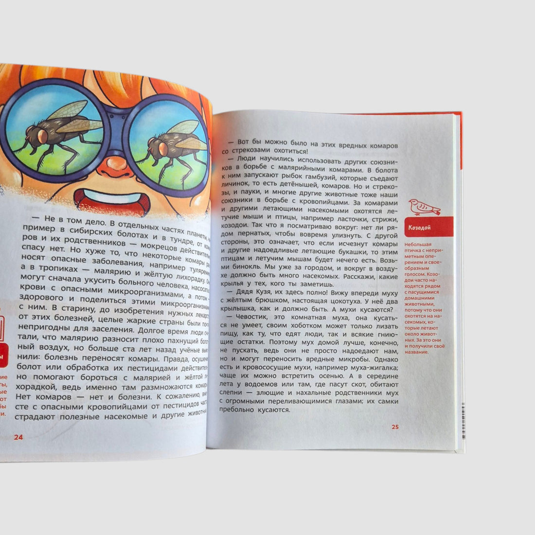 Насекомые и пауки. Детская энциклопедия (Чевостик)