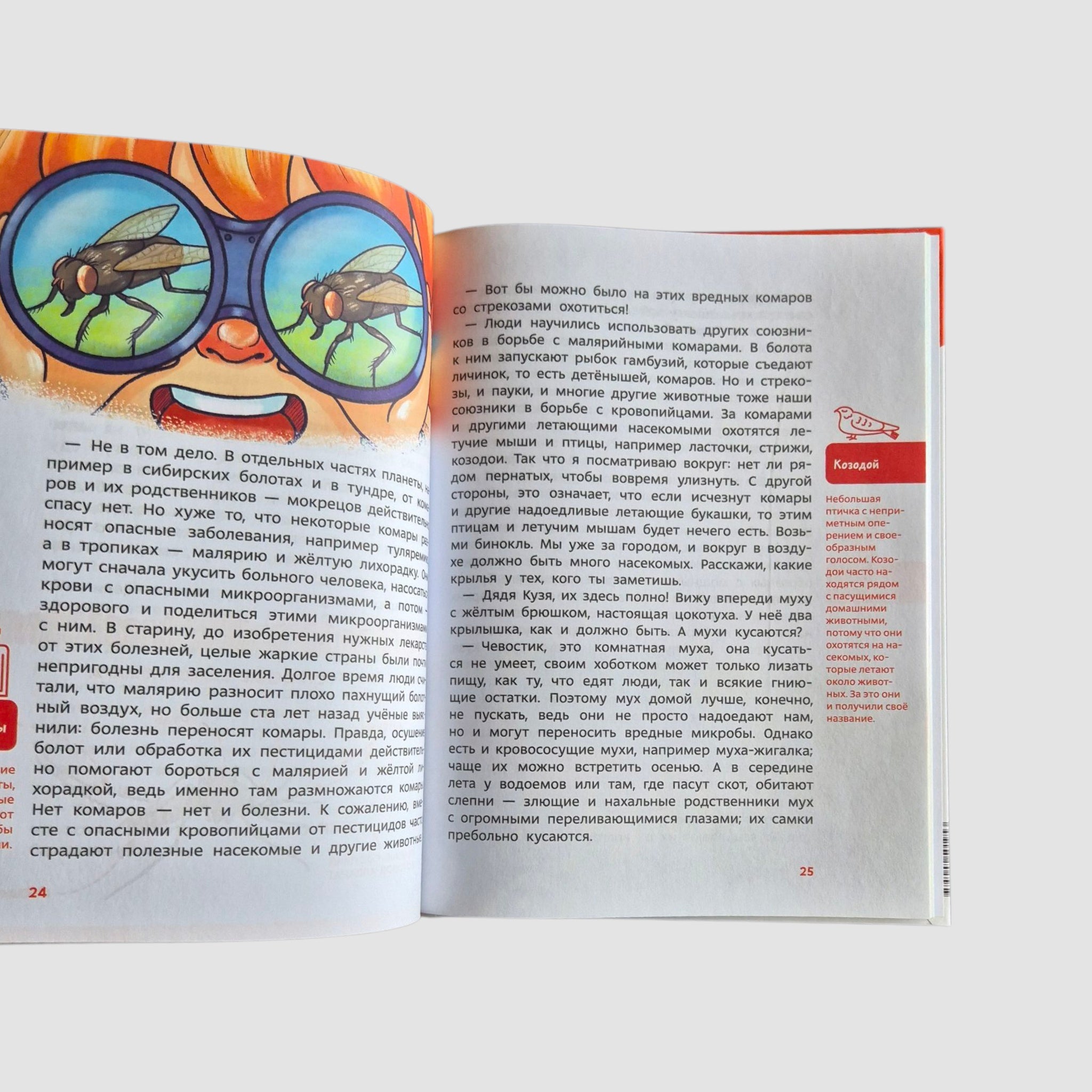 Насекомые и пауки. Детская энциклопедия (Чевостик)