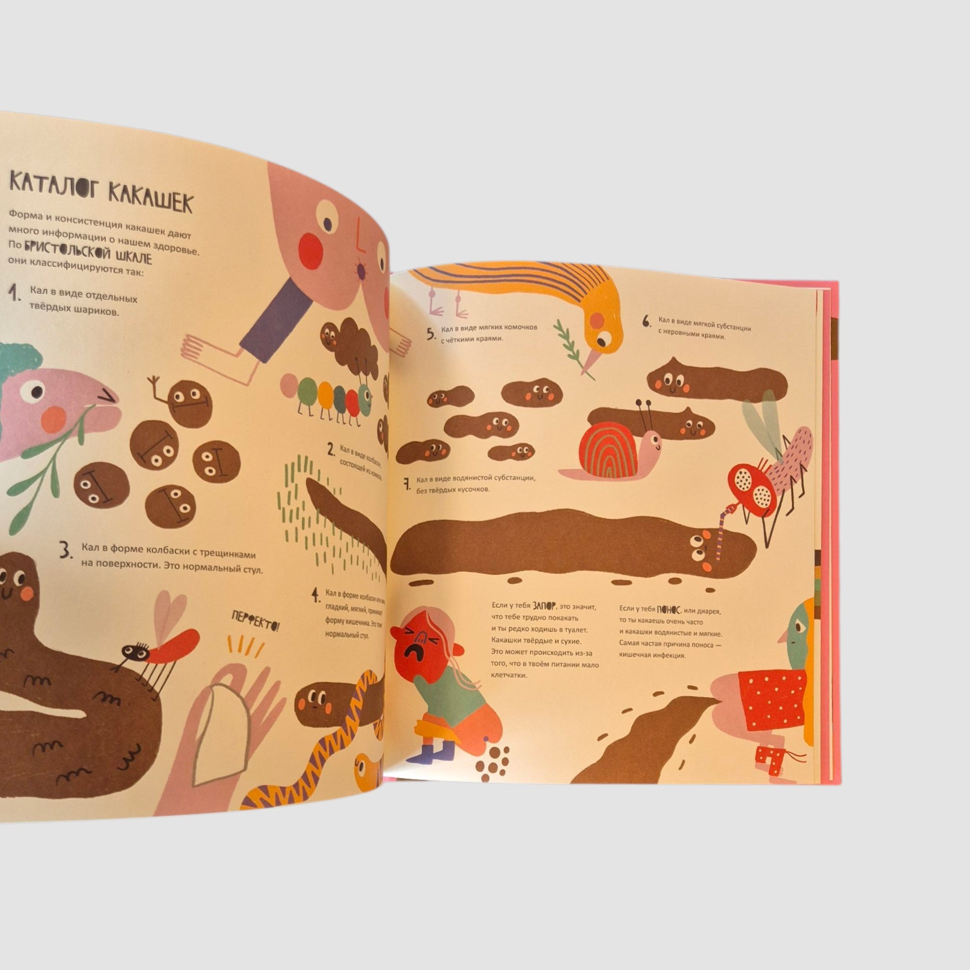 Тайная жизнь мочи и какашек