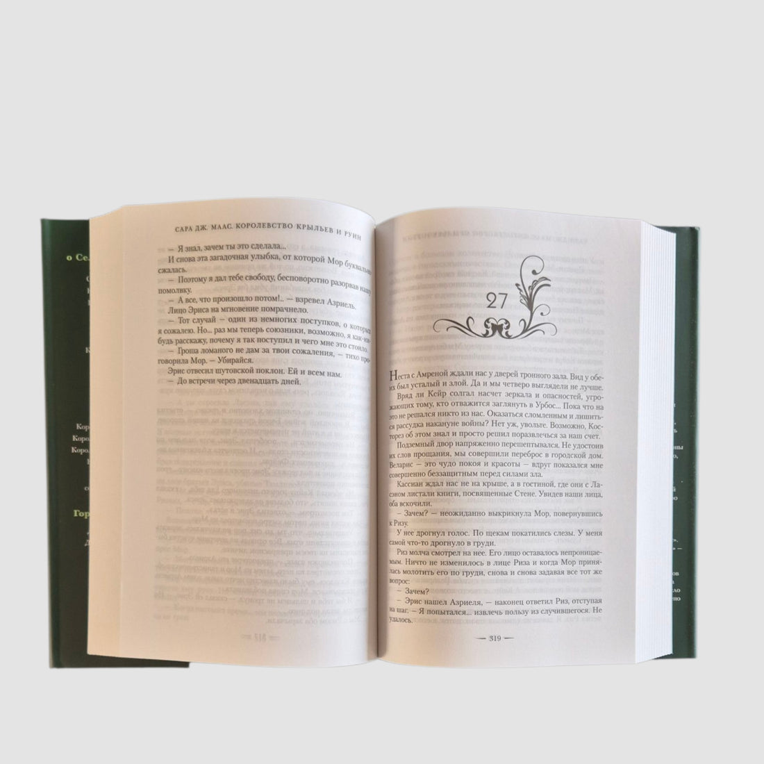 Королевство крыльев и руин