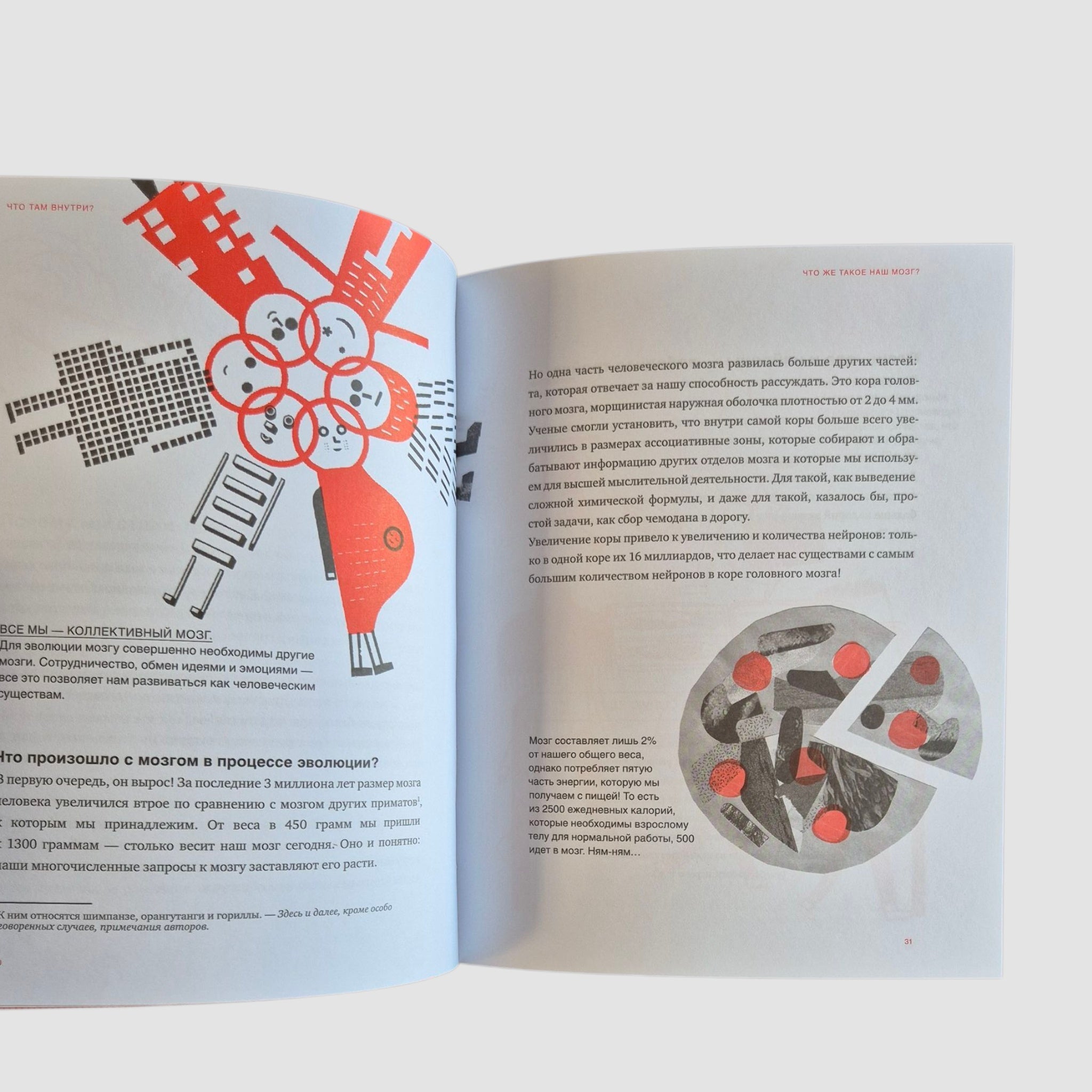 What's Inside? A Guide to Our Brain