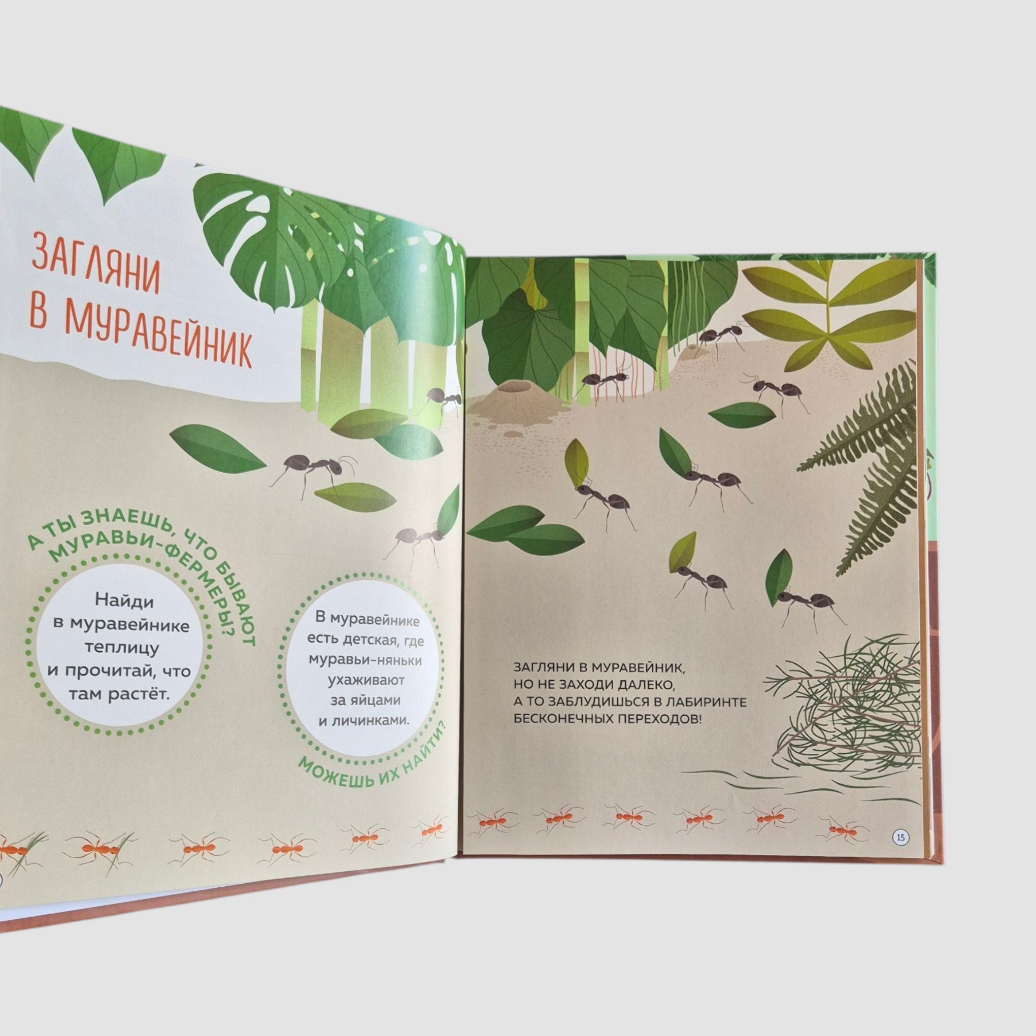 Что внутри? Как устроены дома животных