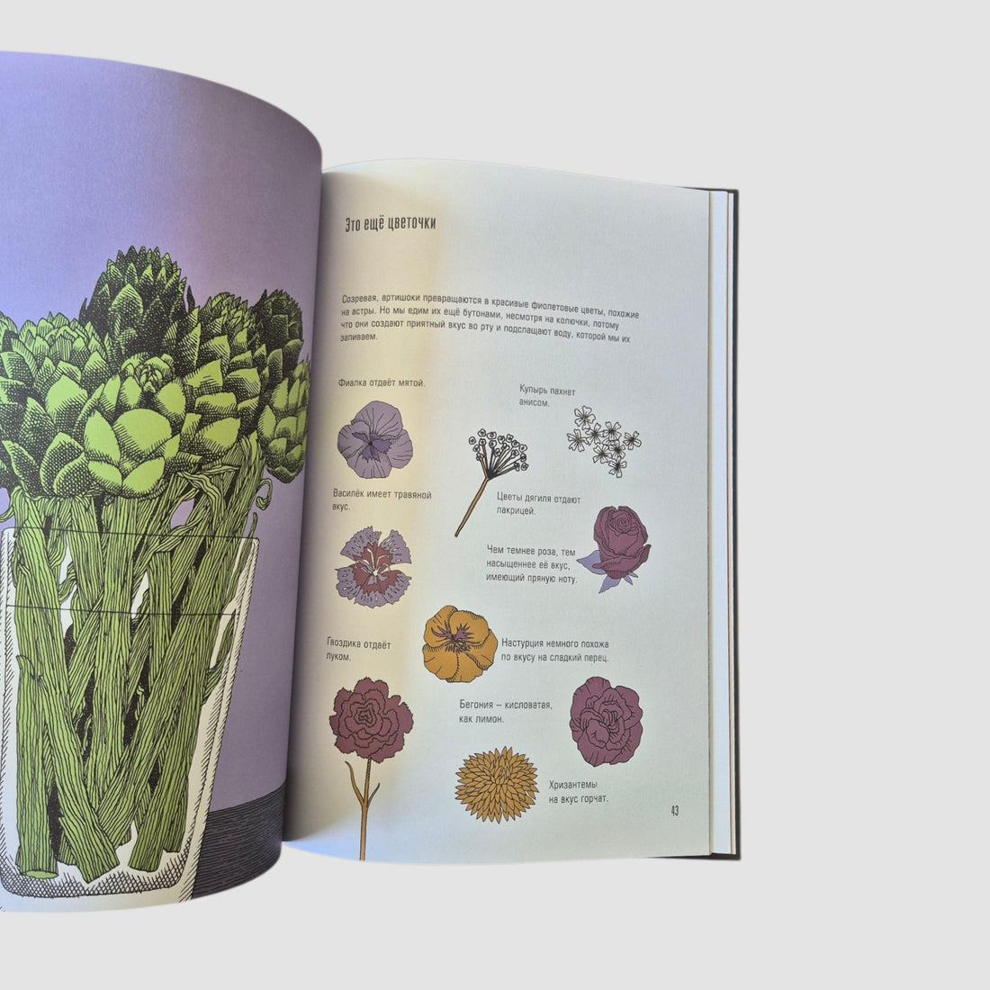 Еда! Какие чувства она вызывает