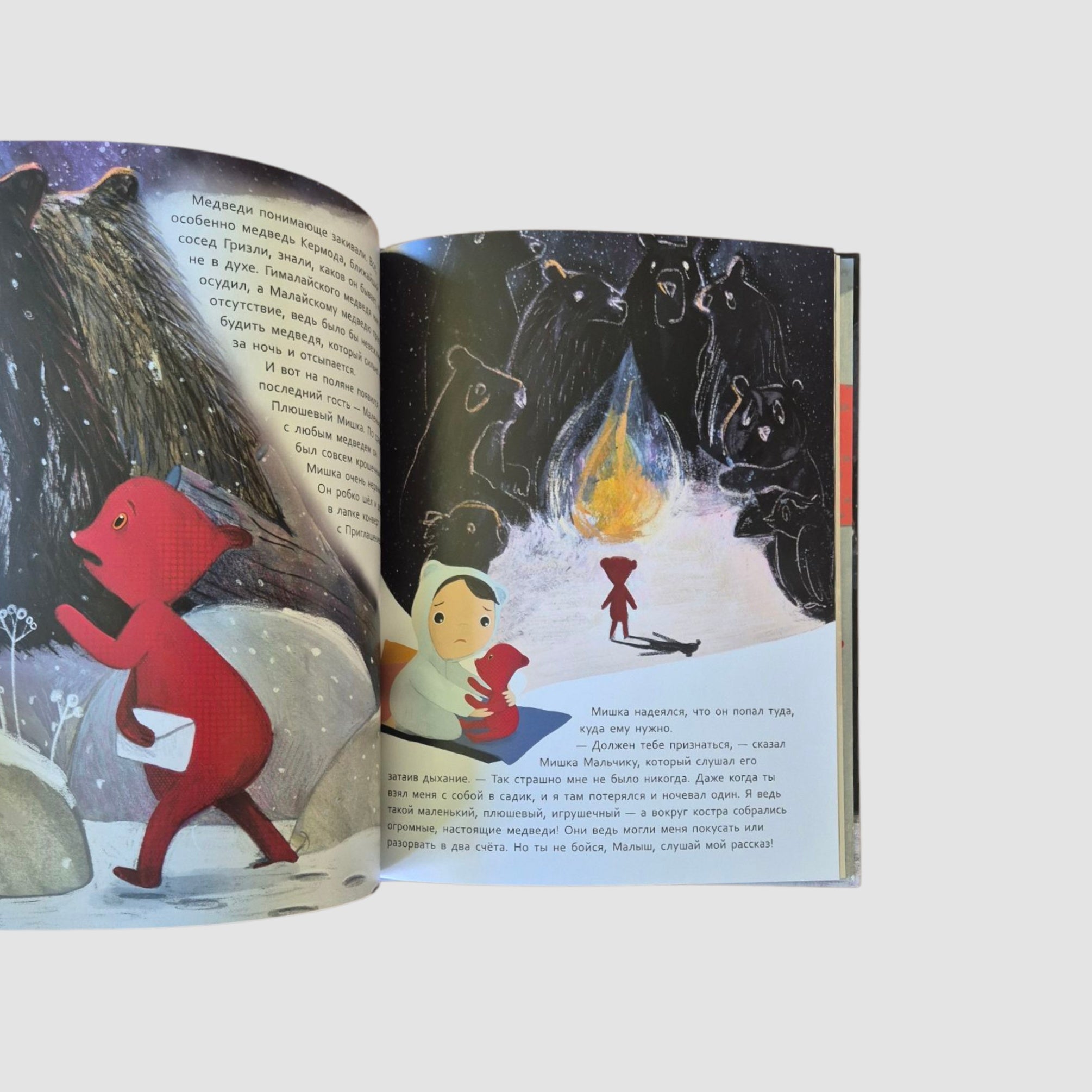 Тайная миссия плюшевого Мишки