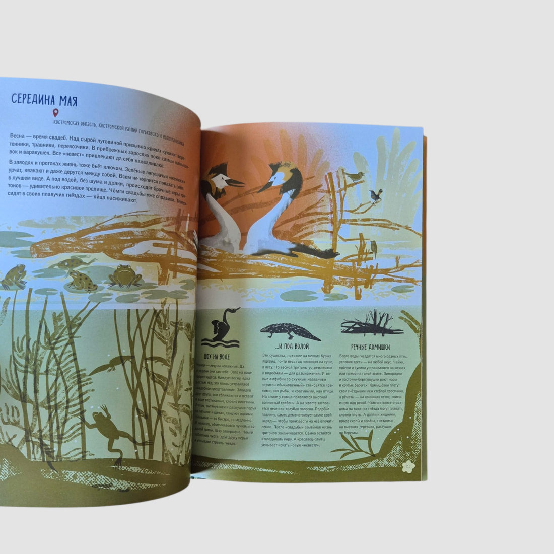 Волга: один год из жизни пресноводного биома