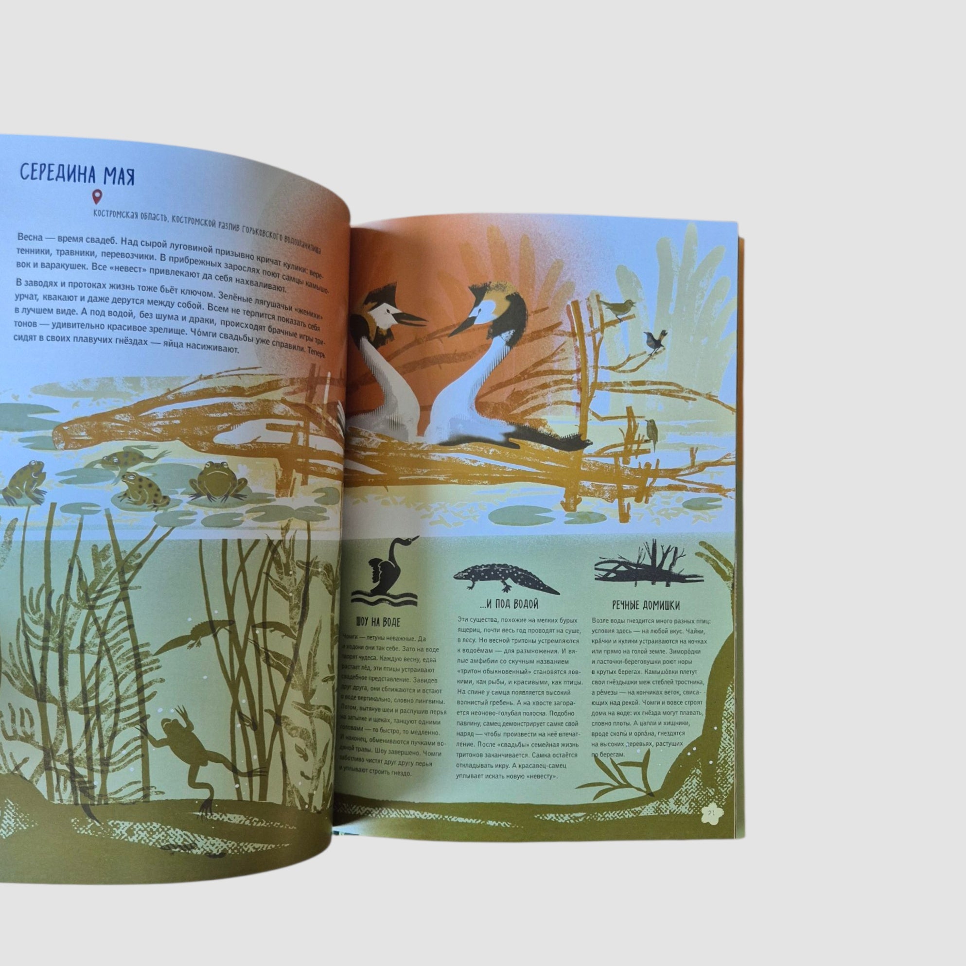 Volga: One year in the life of a freshwater biome