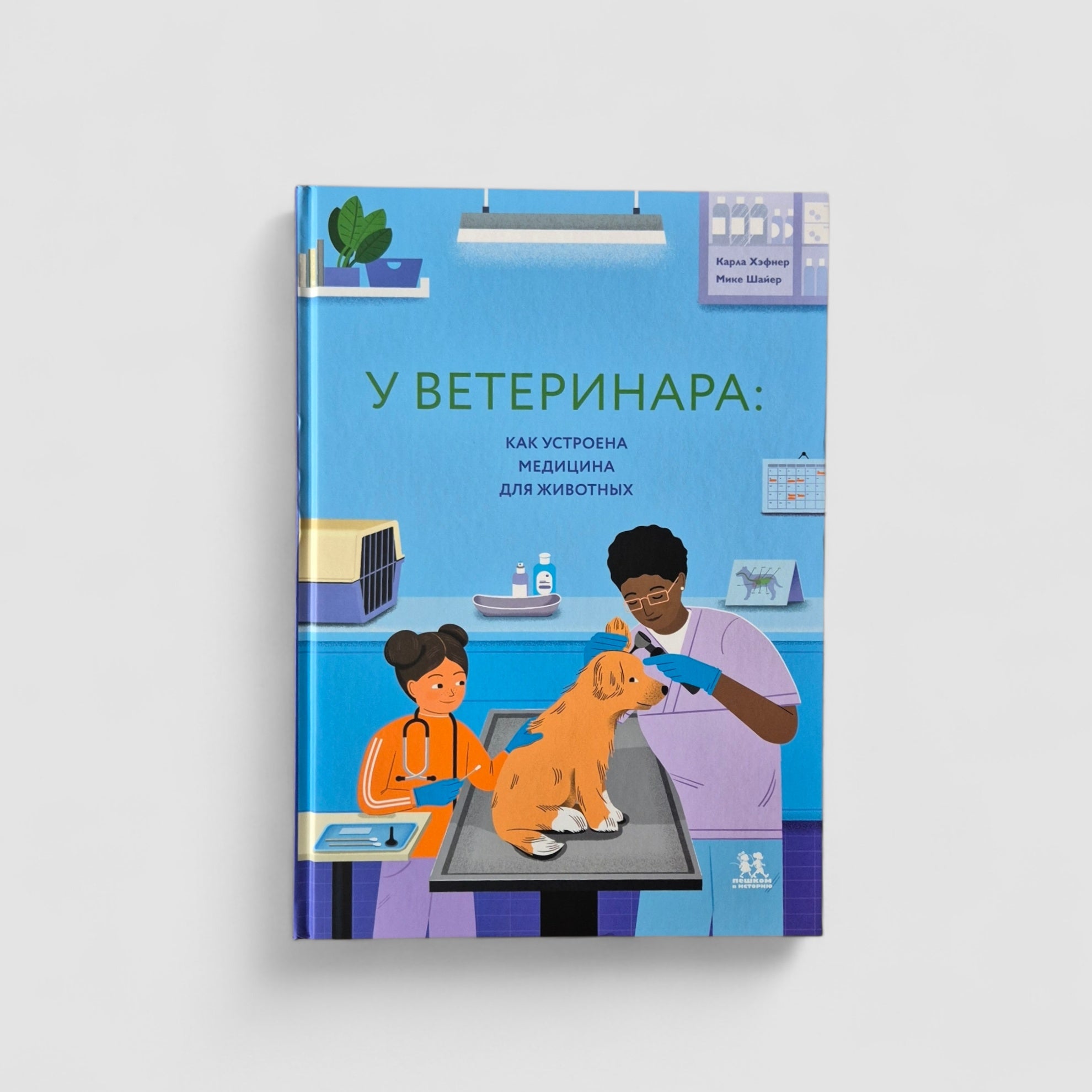 У ветеринара: как устроена медицина для животных