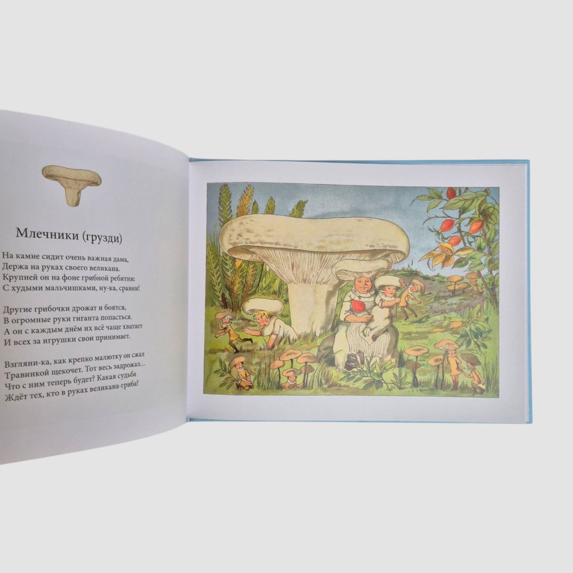 В гостях у грибного народца