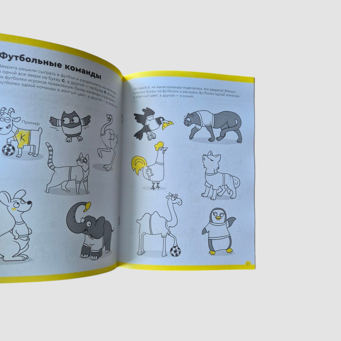 Буквы и чтение. Тетрадь с развивающими заданиями. 6-7 лет