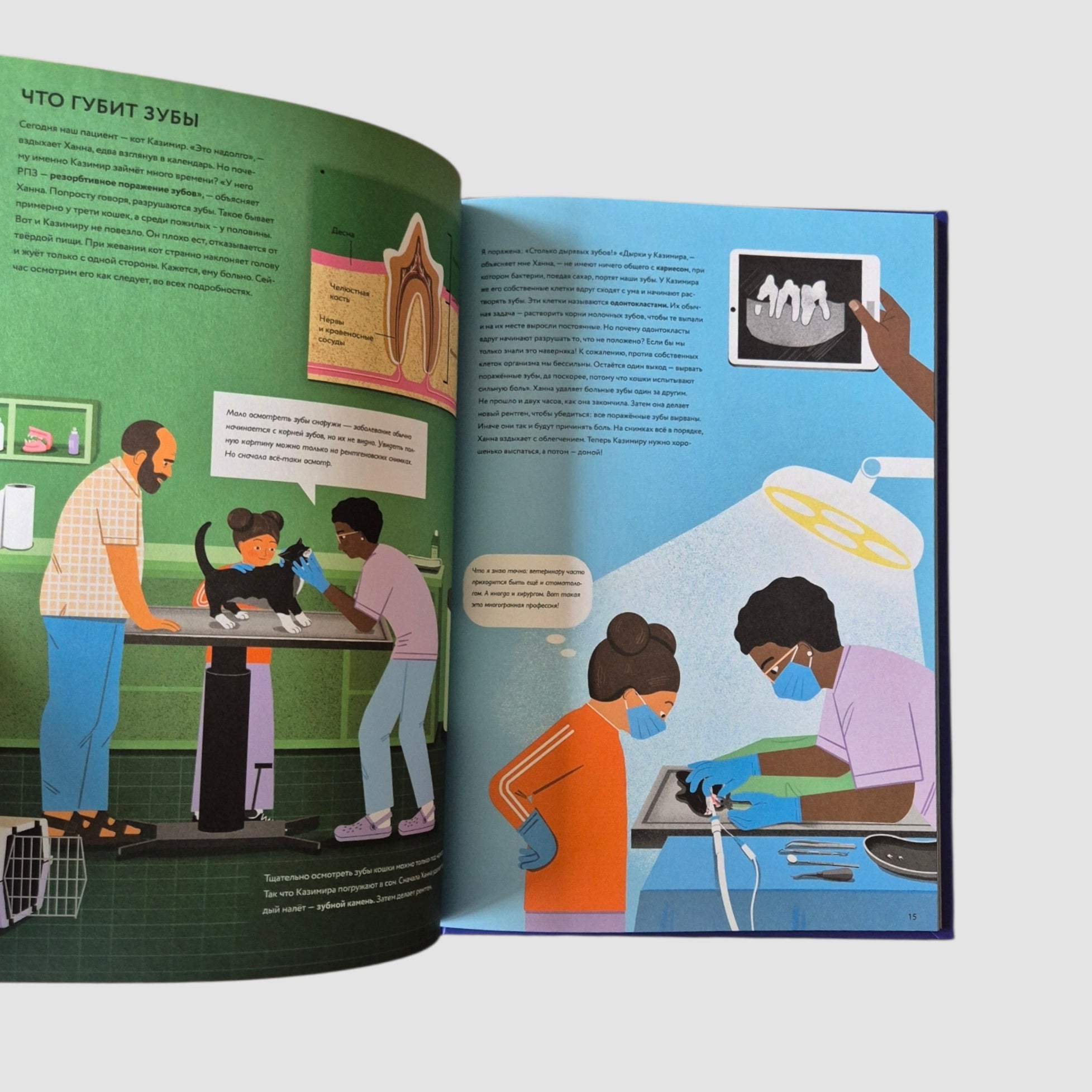 У ветеринара: как устроена медицина для животных