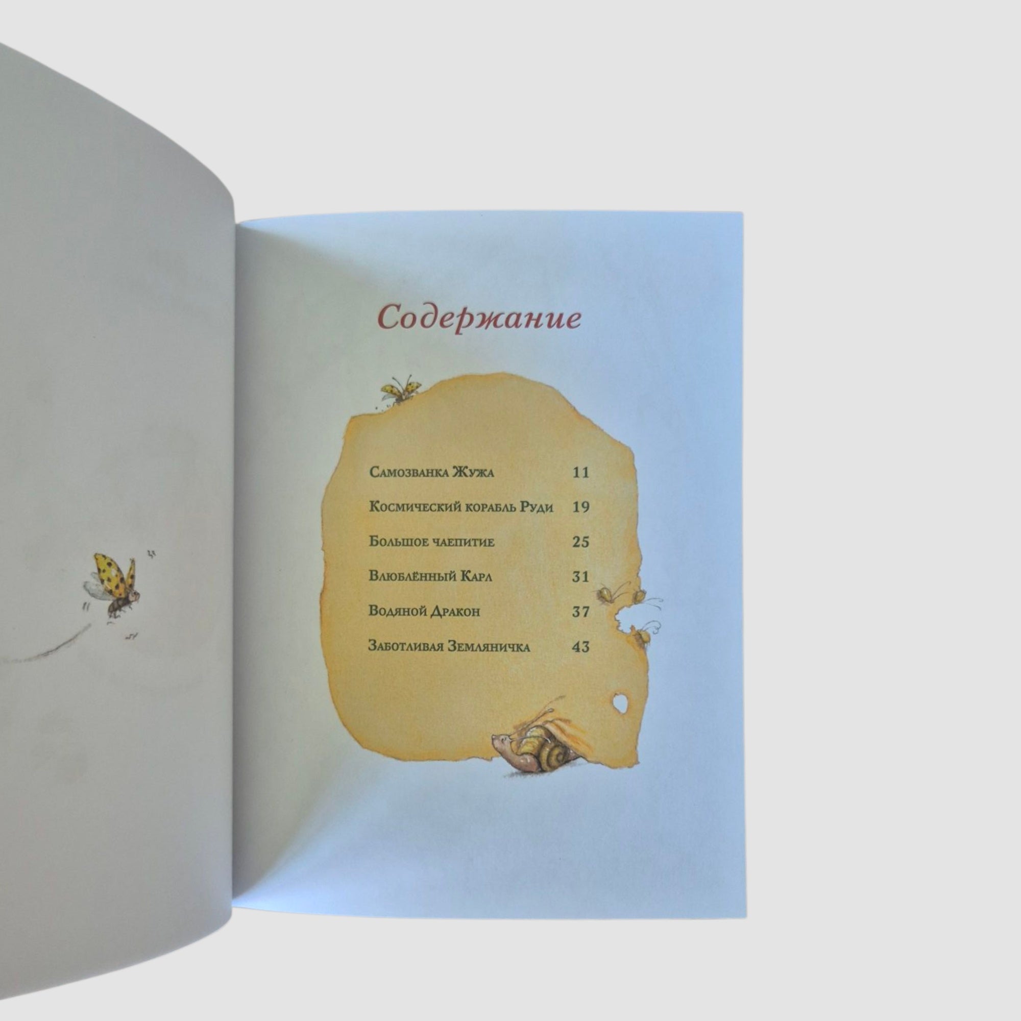 Земляничная фея. Волшебная книга каникул