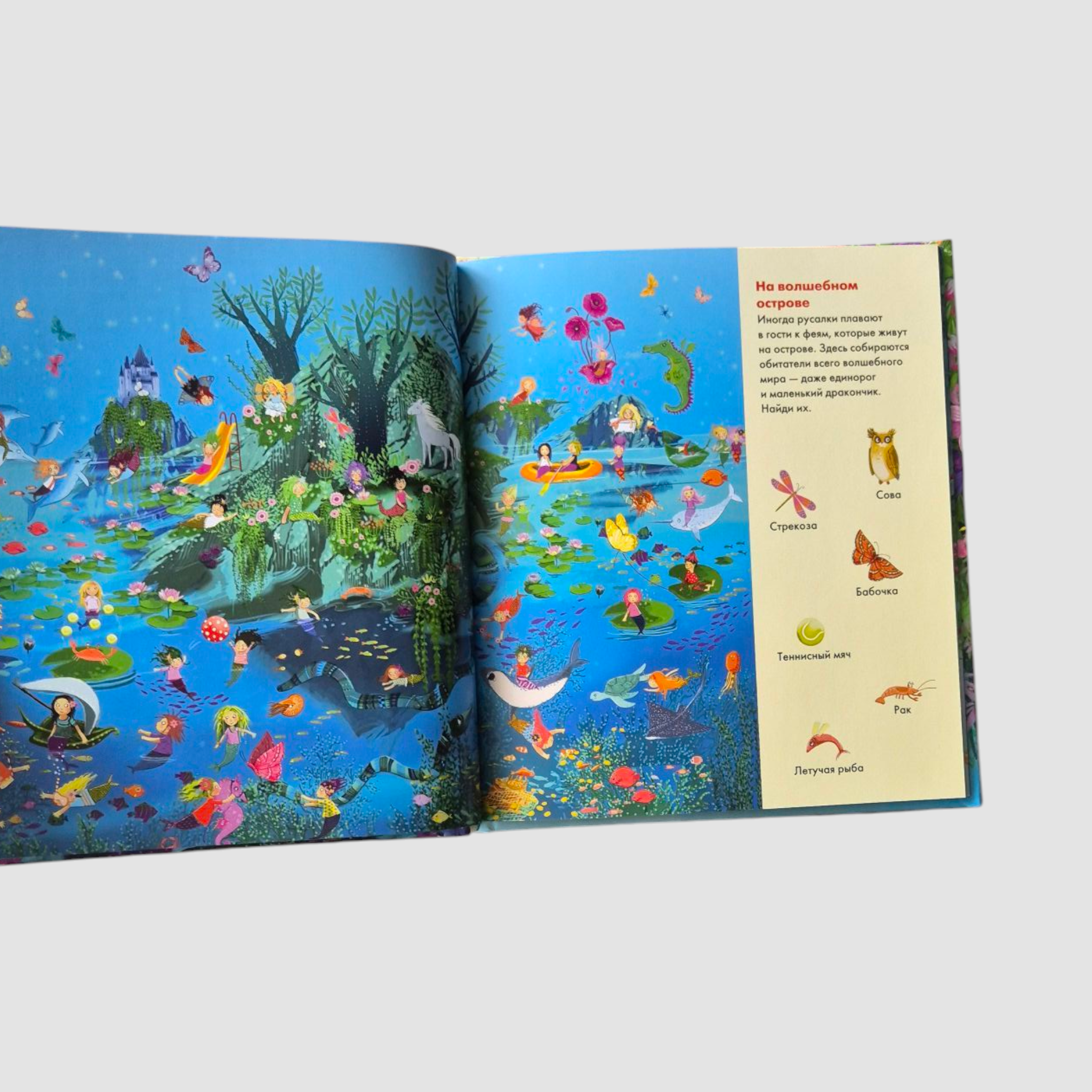 Funny hide and seek. Where do fairies live? Where do mermaids live? 