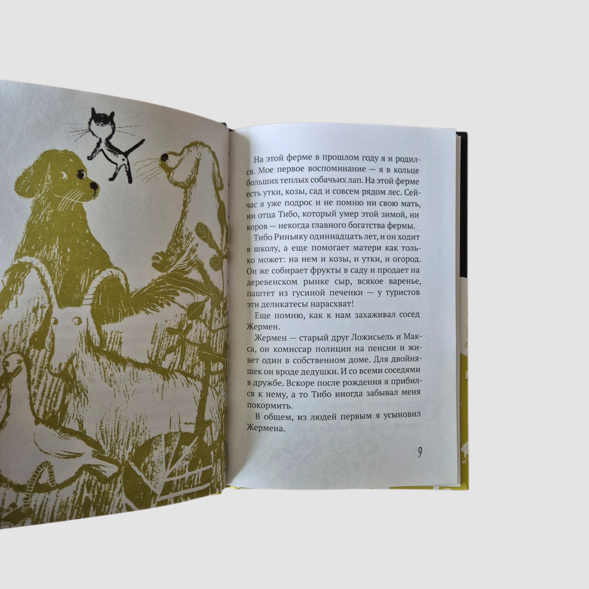 Эркюль. Кот-сыщик. По следам Брута